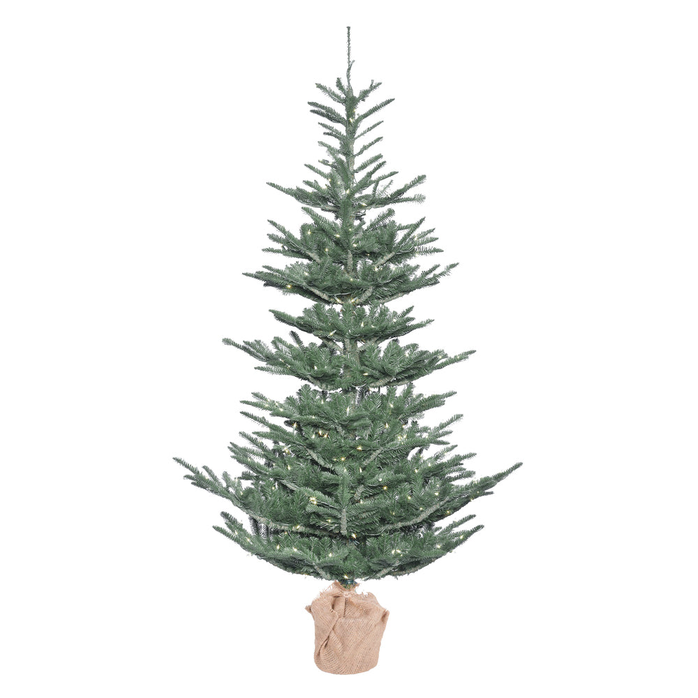 Vickerman 5' x 40″ Alberta Blue Spruce 200LEDWmWht - G160451LED