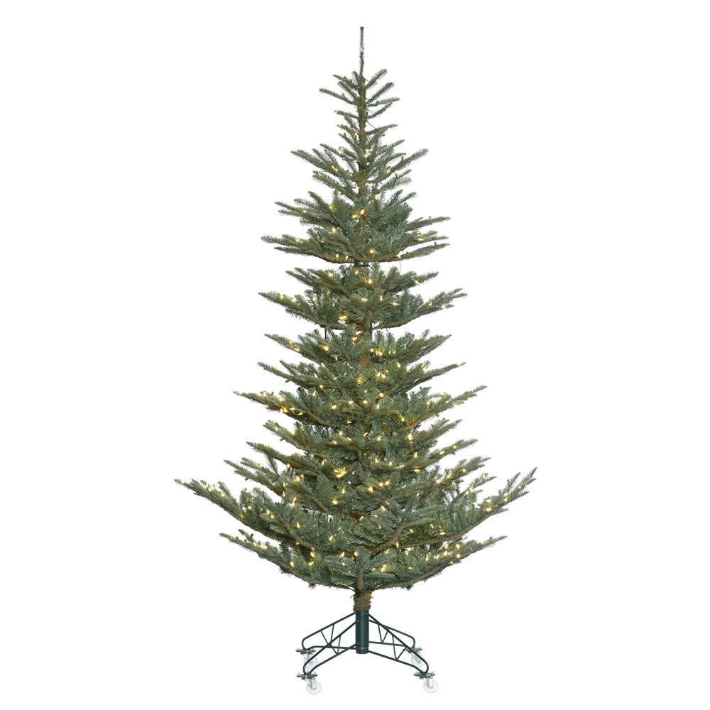 Vickerman 10' x 74” Alberta Blue Spru 800LED WmWht - G160486LED