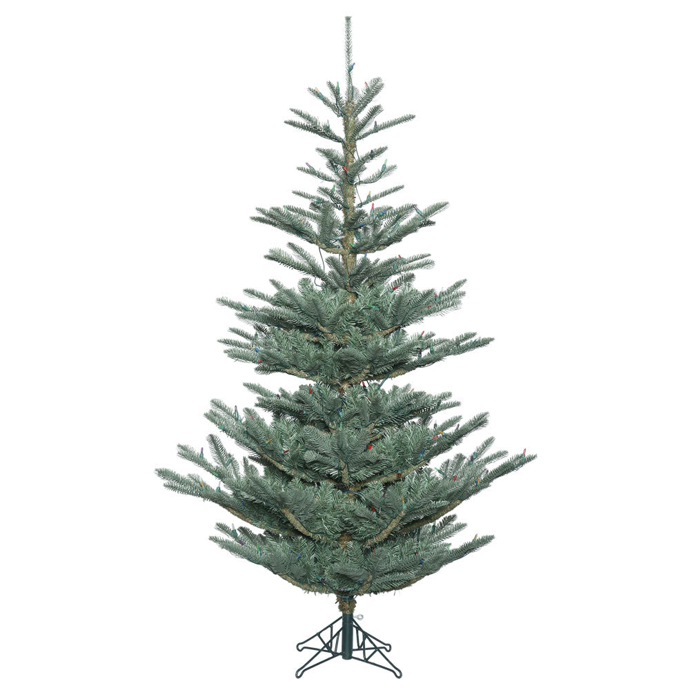 Vickerman 12' x 80” Alberta Blue Spruce 3110T - G160490