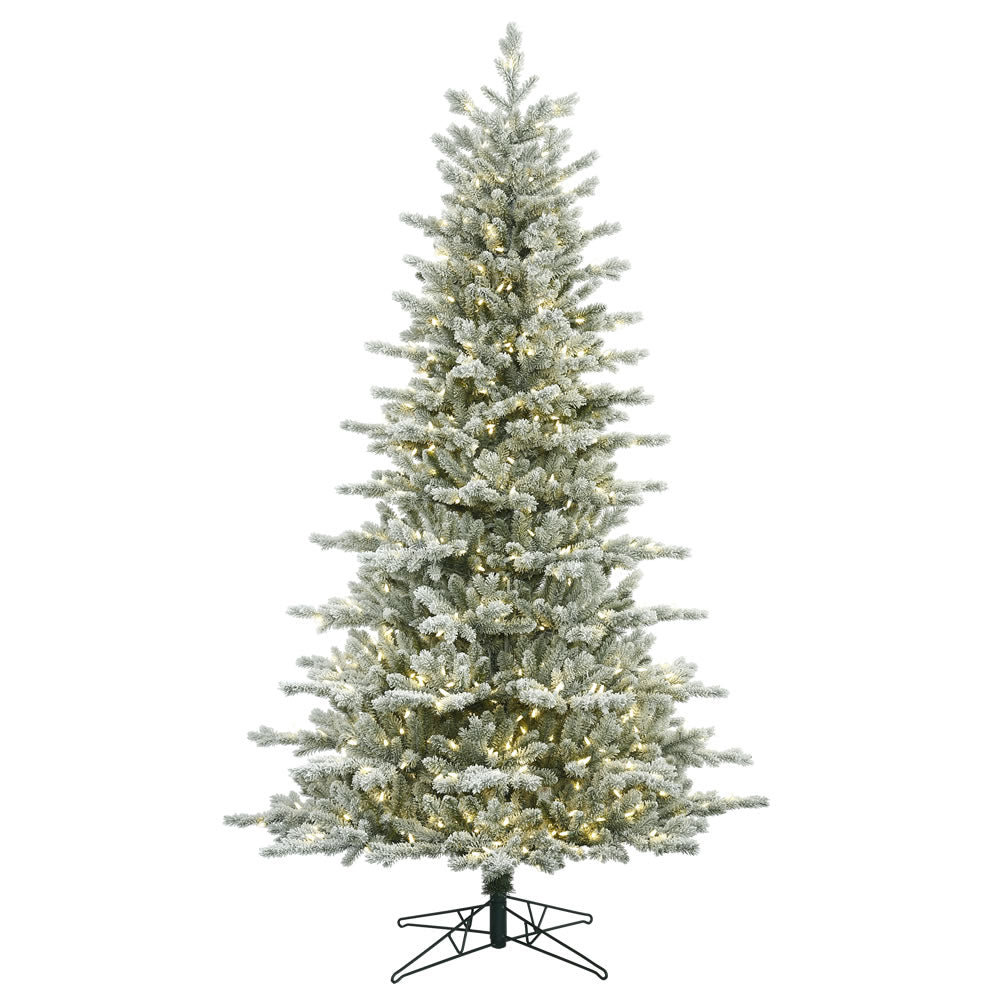 Vickerman 3.5' x 27″ Frst Eastern 100LED WmWht - G160836LED