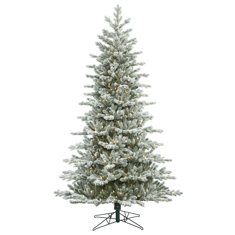 Vickerman 6.5' x 44″ Frst Eastern Fr DuraLit 500CL - G160866