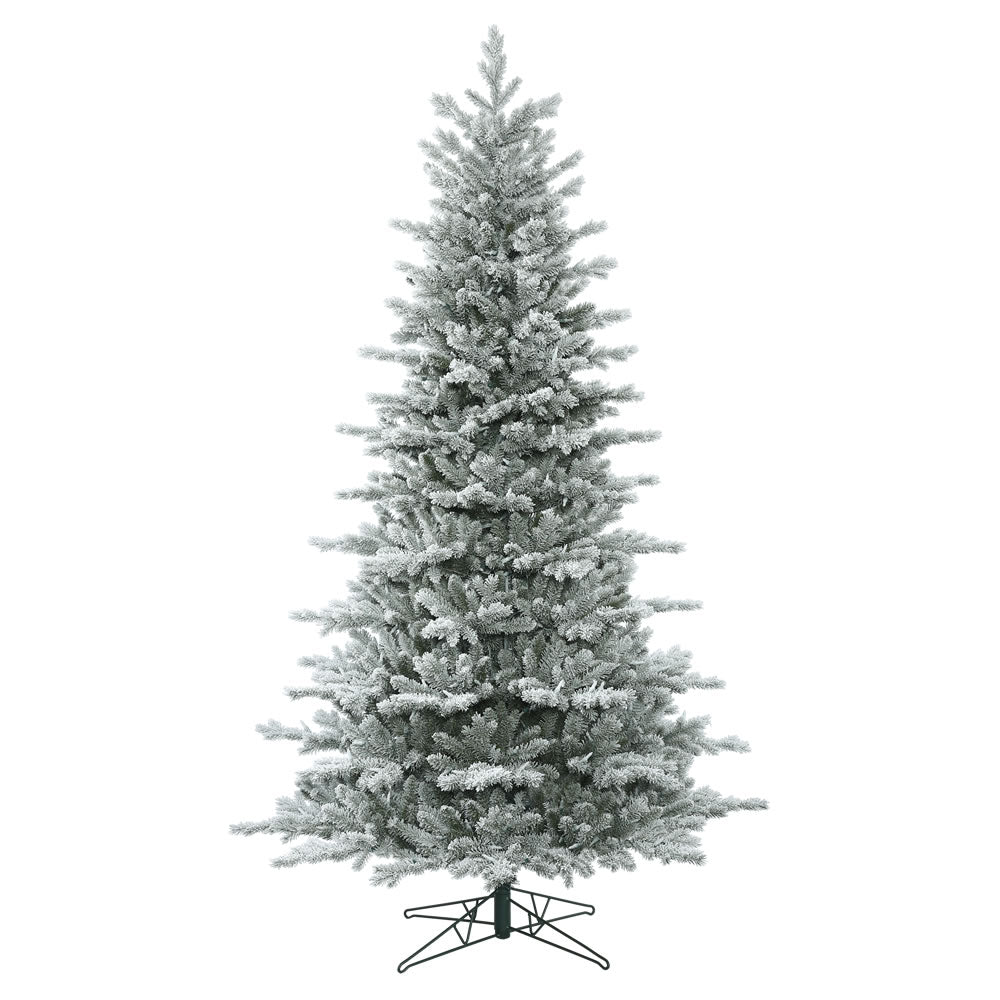 Vickerman 9' x 64″ Frst Eastern Fraser Fir 3684T - G160880