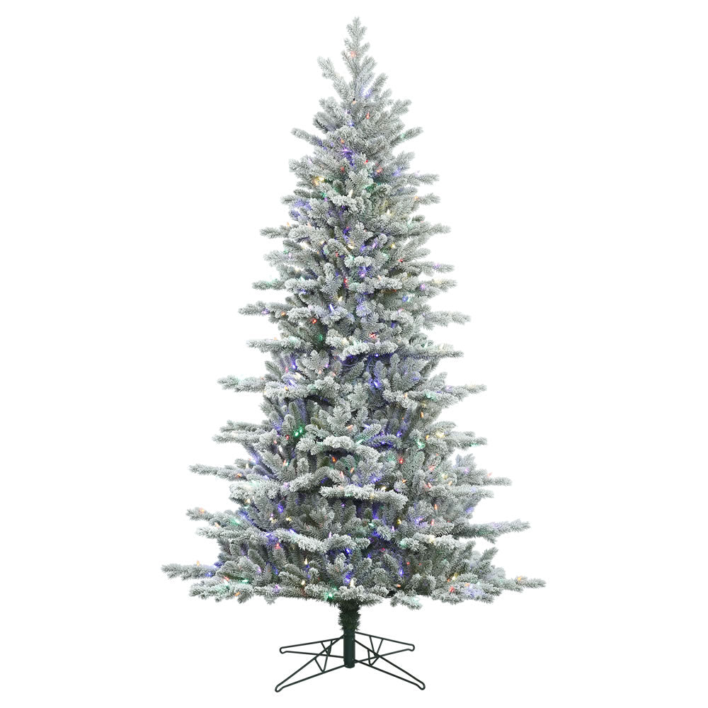 Vickerman 9' x 64″ Frst Eastern Fir 800LED Multi - G160882LED