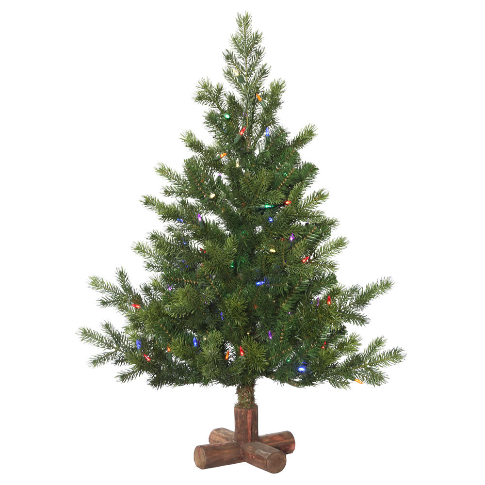 Vickerman 3' x 29” Eagle Fraser Dura-Lit 100MU - G170332LED