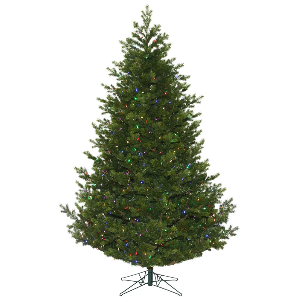 Vickerman 7.5' x 60” Eagle Fraser Dura-Lit 750MU - G170377LED