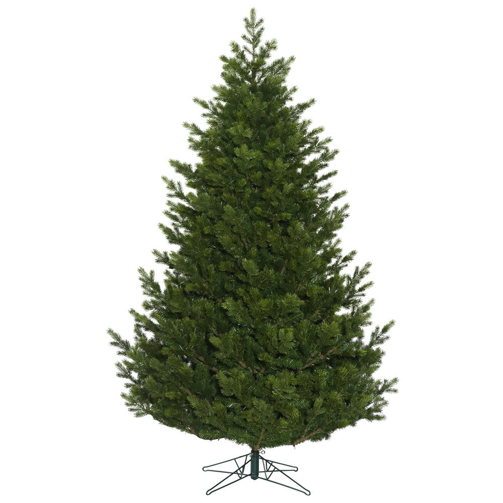 Vickerman 9' x 74″ Eagle Fraser Full 6111T - G170380