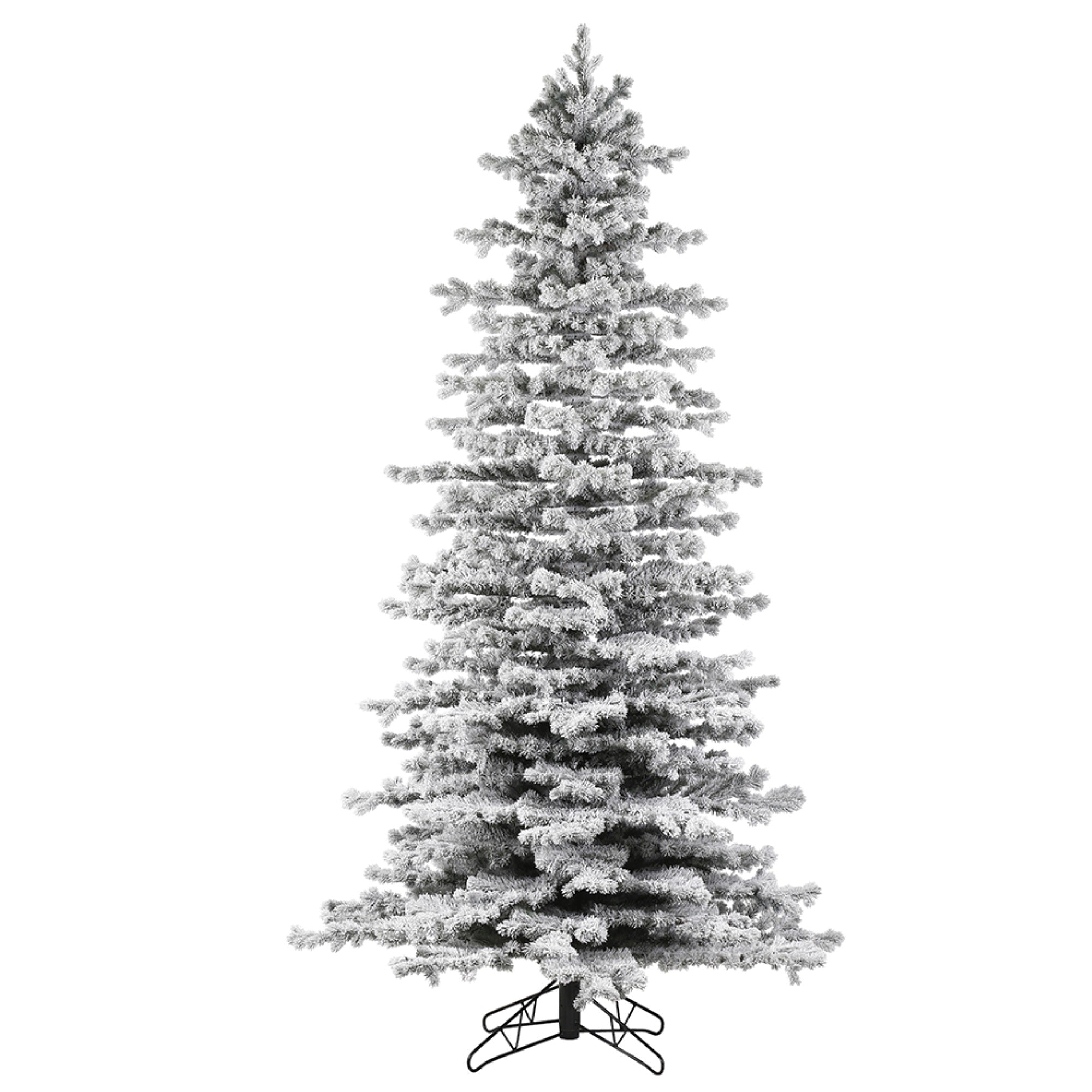 Vickerman 10' x 60” Flocked Tilden Spruce Artificial Christmas Tree Unlit