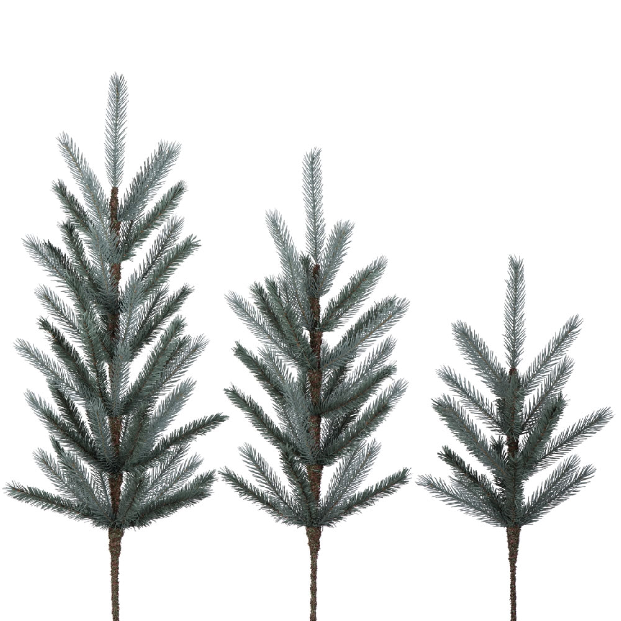 24-30-36” Blue Spruce Tops 3Pc Set