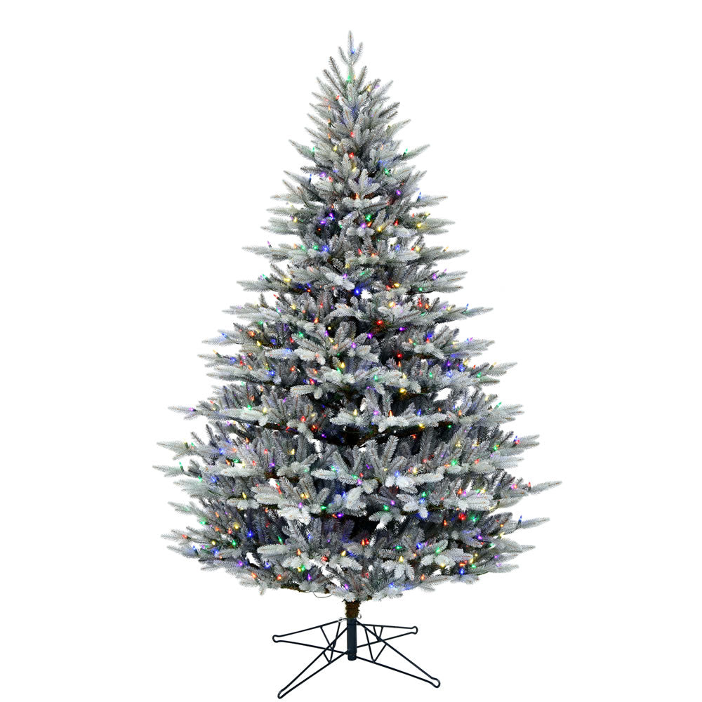 Vickerman 6.5' x 51” Douglas Blue Fir DuraLt 700MU - G192467LED