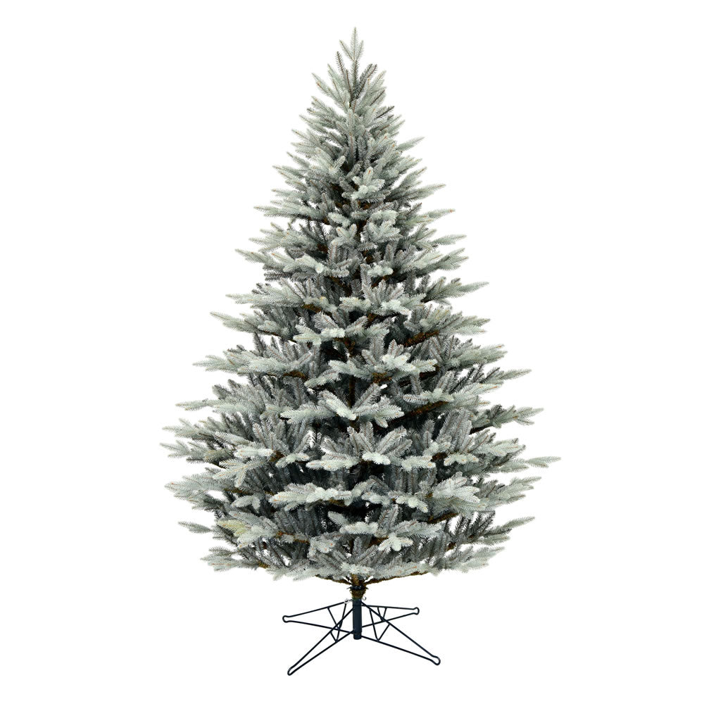 Vickerman 10' x 74” Douglas Blue Fir Tree 4524Tips - G192485