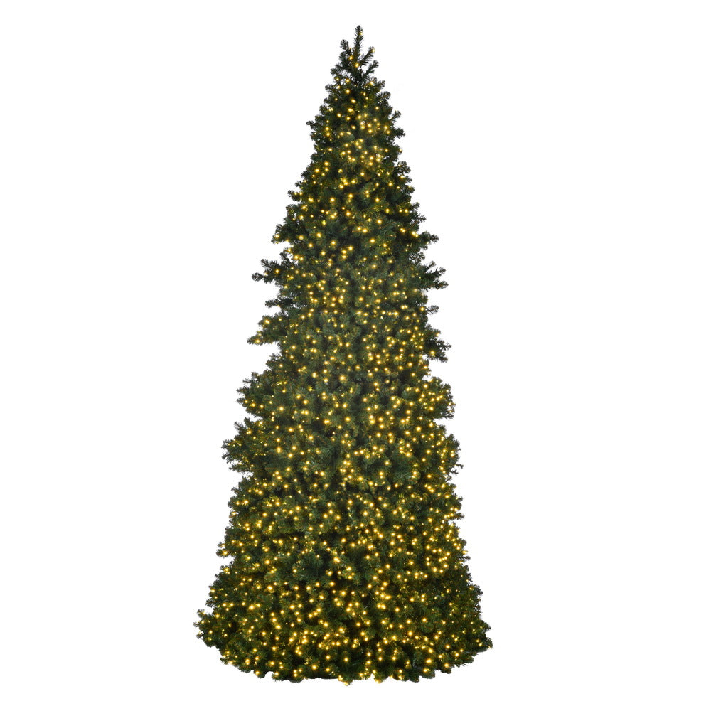 14' x 74” Slim Grand Teton WA LED 4400WW