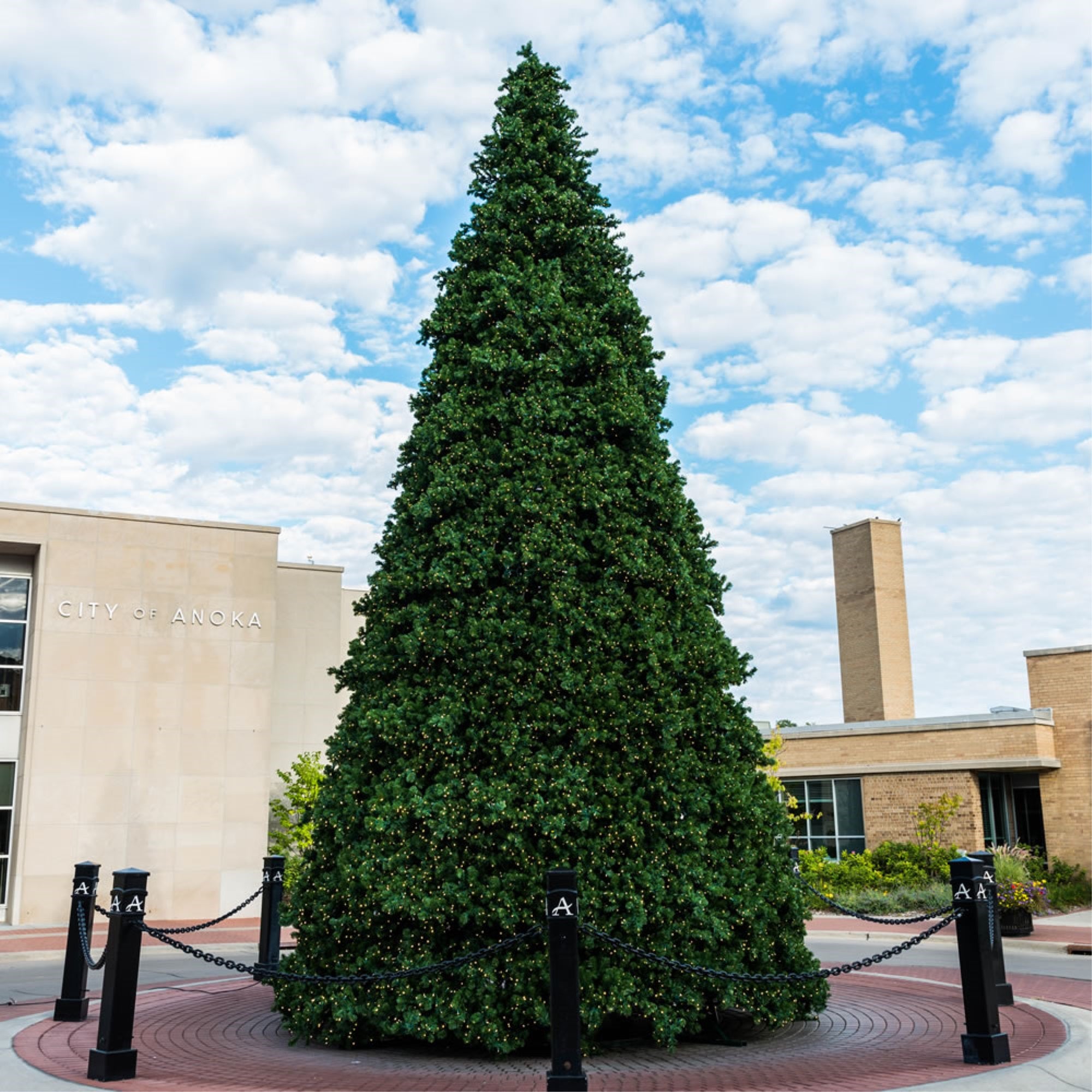 Vickerman 30' x 183” Grand Teton Frame Artificial tree with 44250 PVC tips and 18450 Warm White Lights
