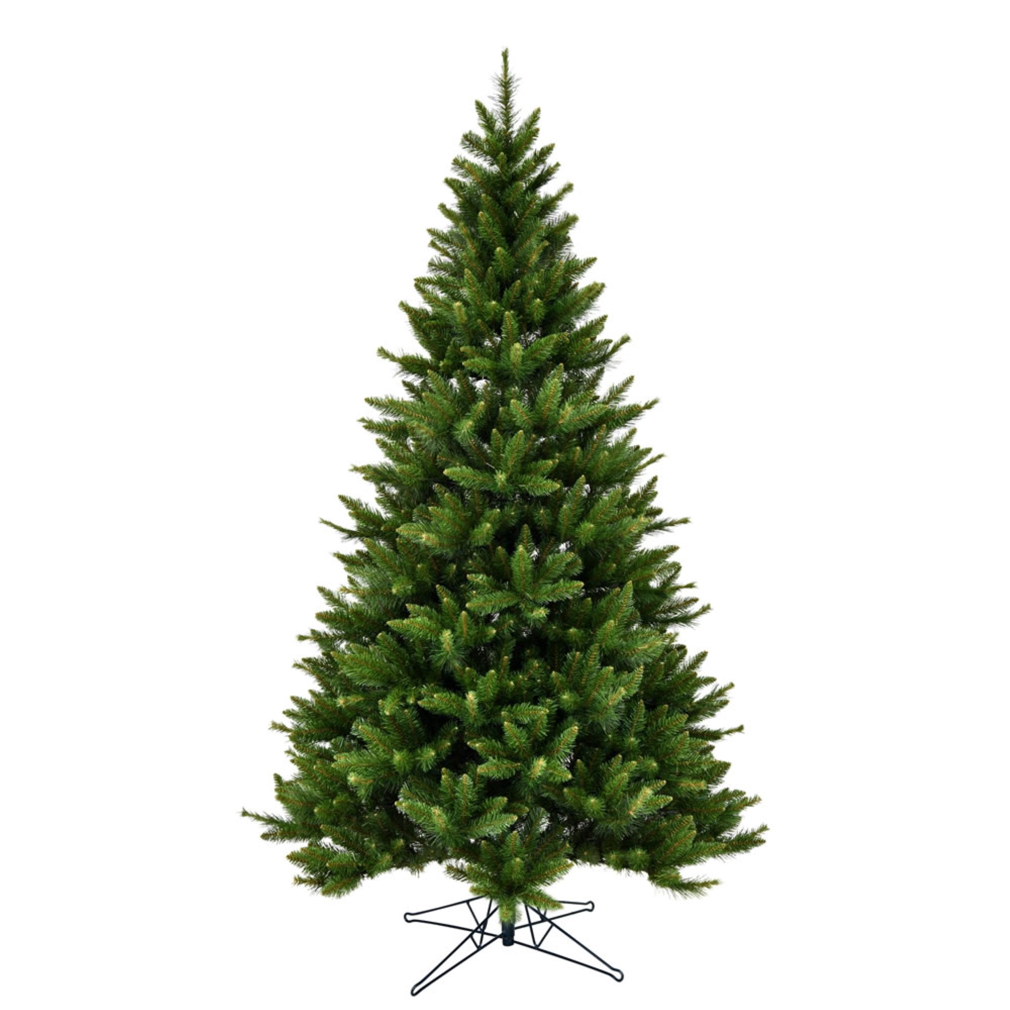 5.5' x 44” Bennington Spruce 579Tips