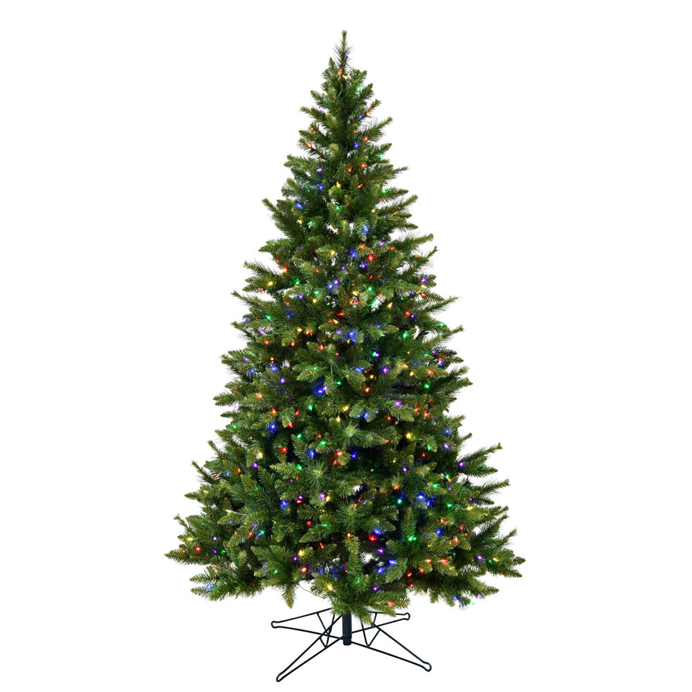 Vickerman 7.5' x 55” Bennington Spr Dura-Lit 800MU - G198377LED