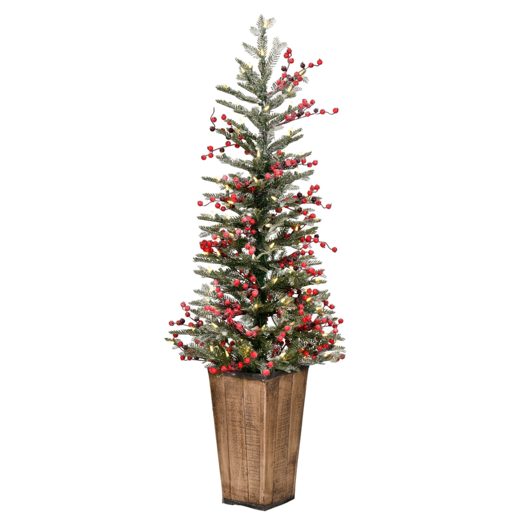 4.5'x20” Frost Berry Potted DuraLt 100WW
