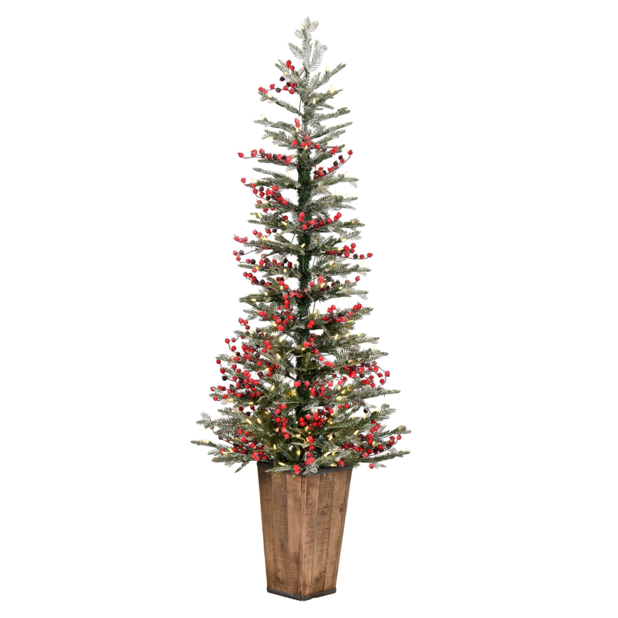 5.5'x24” Frost Berry Potted DuraLt 150WW