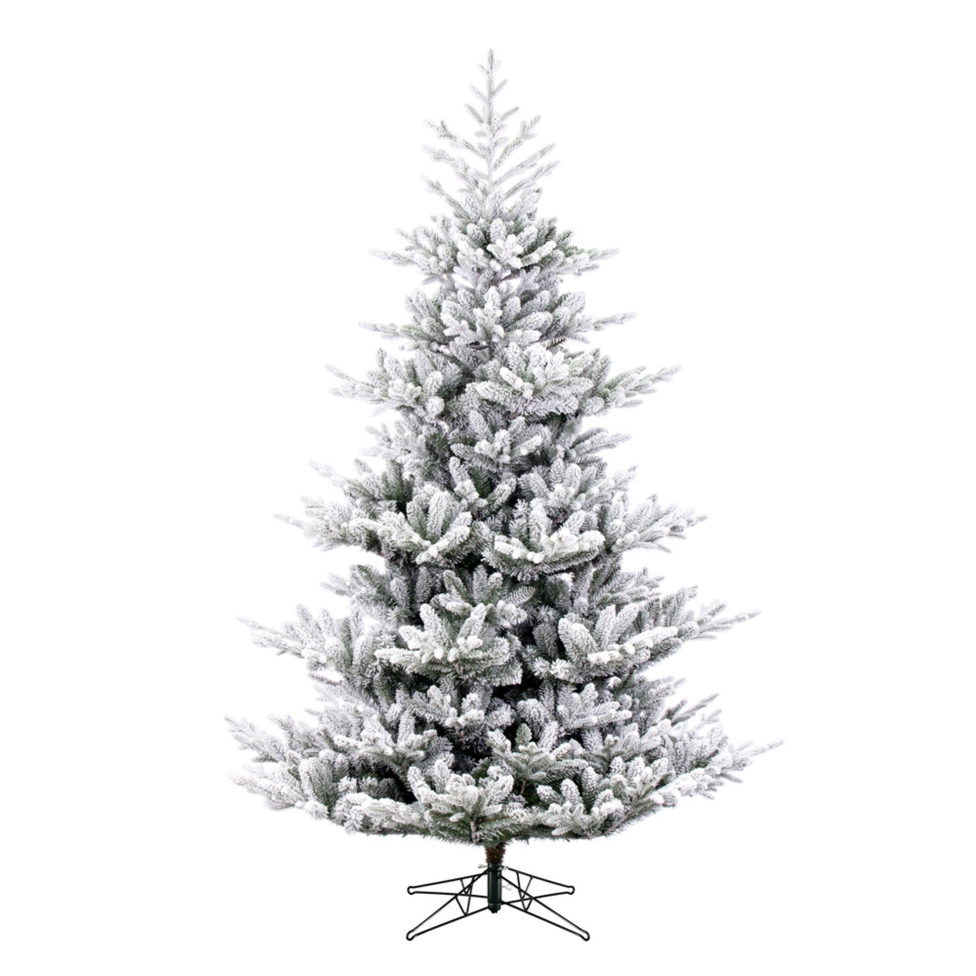 12' X 73” Flkd Hudson Fraser Fir 6930T