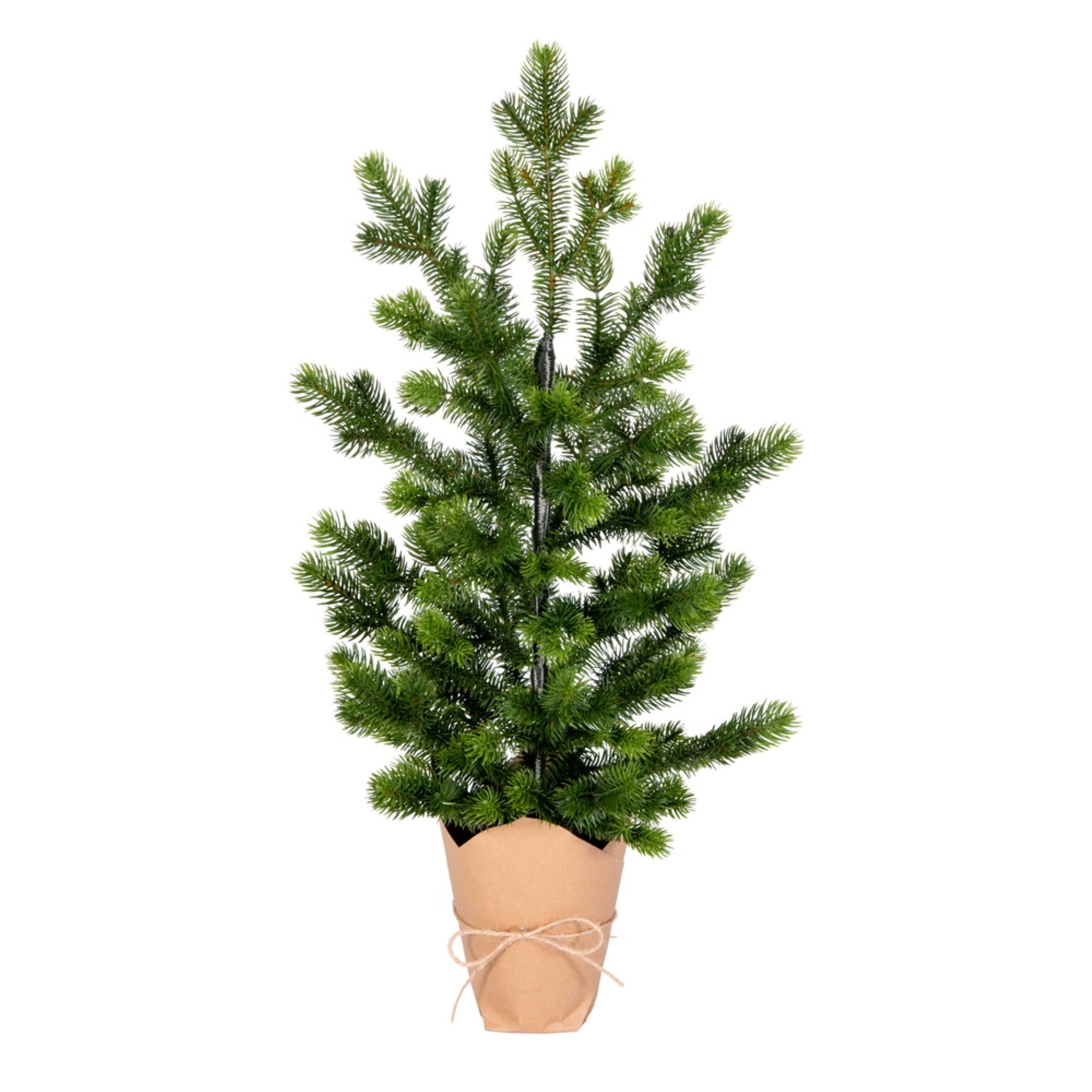 24” x 14” Bryson Spruce Tree 192T