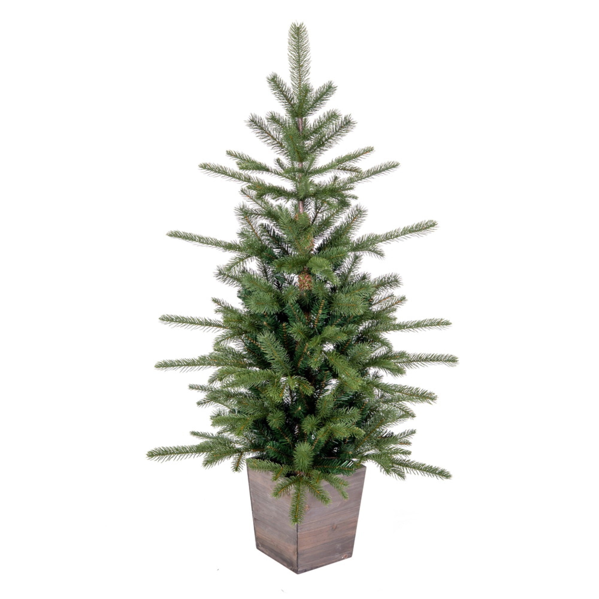 4' x 30” Potted Winston Spruce 345T