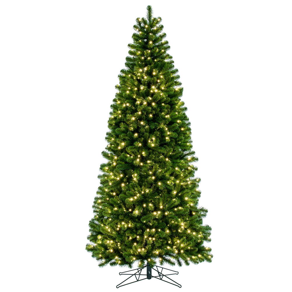 6.5' x 38” Deluxe Sequoia 5mmWA 500WW