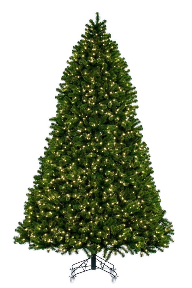 10' x 76″ Deluxe Sequoia 5mmWA 2200WW