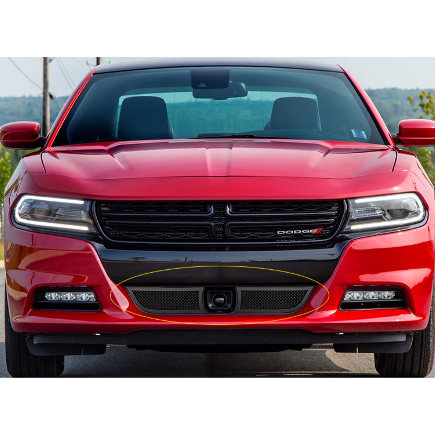 2015-2018 Dodge Charger With Adaptive Cruise Control (Not For Daytona And Rt Scat Pack And Srt)/2019-2022 Dodge Charger With Adaptive Cruise Control Only For Sxt Stainless Steel Black Powder Coated Finish 1.8 Mm Wire Mesh Black Wire Mesh Grille