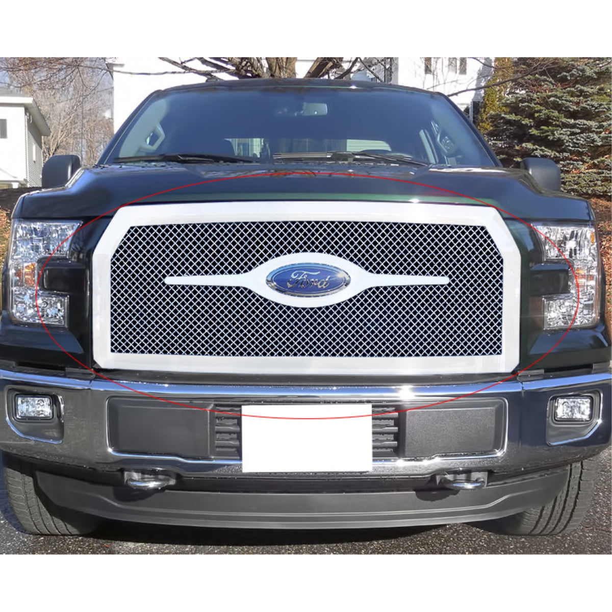 2015-2017 Ford F-150 Stainless Steel Polished Finish 2.5 Mm Wire Mesh Mesh Grille