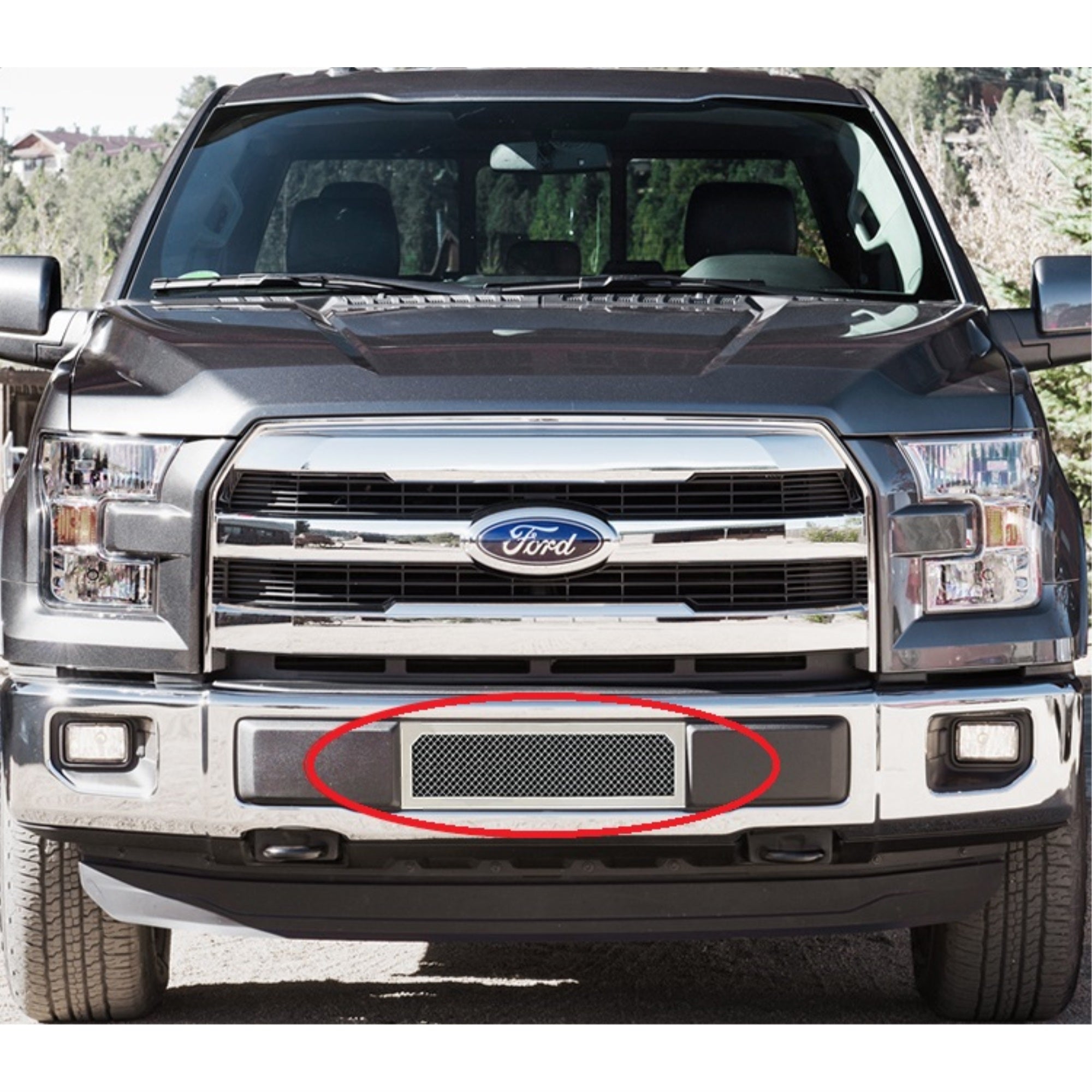 2015-2017 Ford F-150 Stainless Steel Polished Finish 1.8 Mm Wire Mesh Mesh Grille