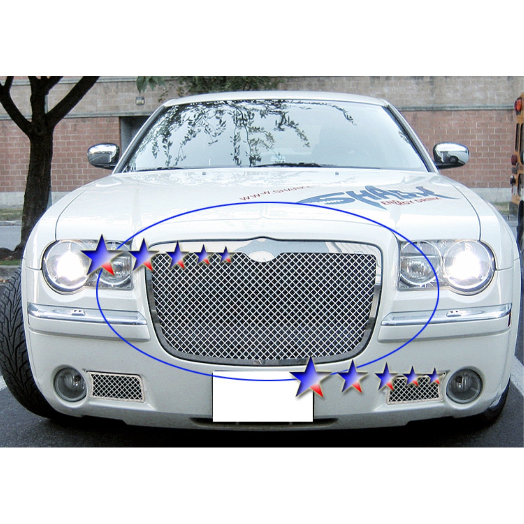 2005-2010 Chrysler 300 /2005-2010 Chrysler 300C Stainless Steel Polished Finish 2.5 Mm Wire Mesh Mesh Grille