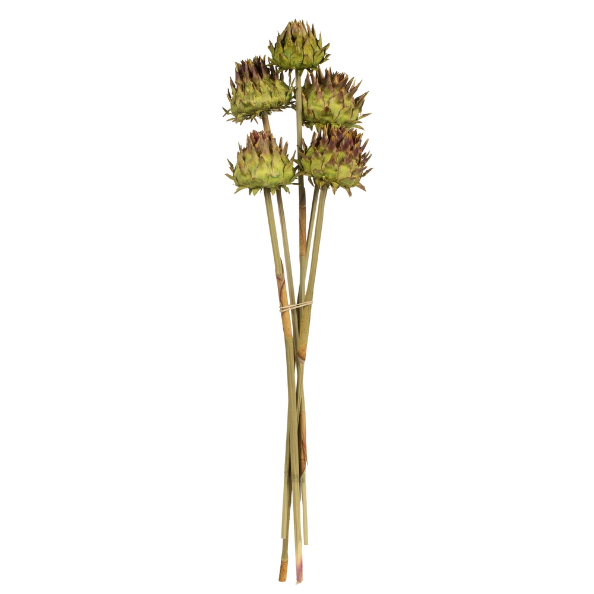 15” Basil Artichoke on Stem 9/pk