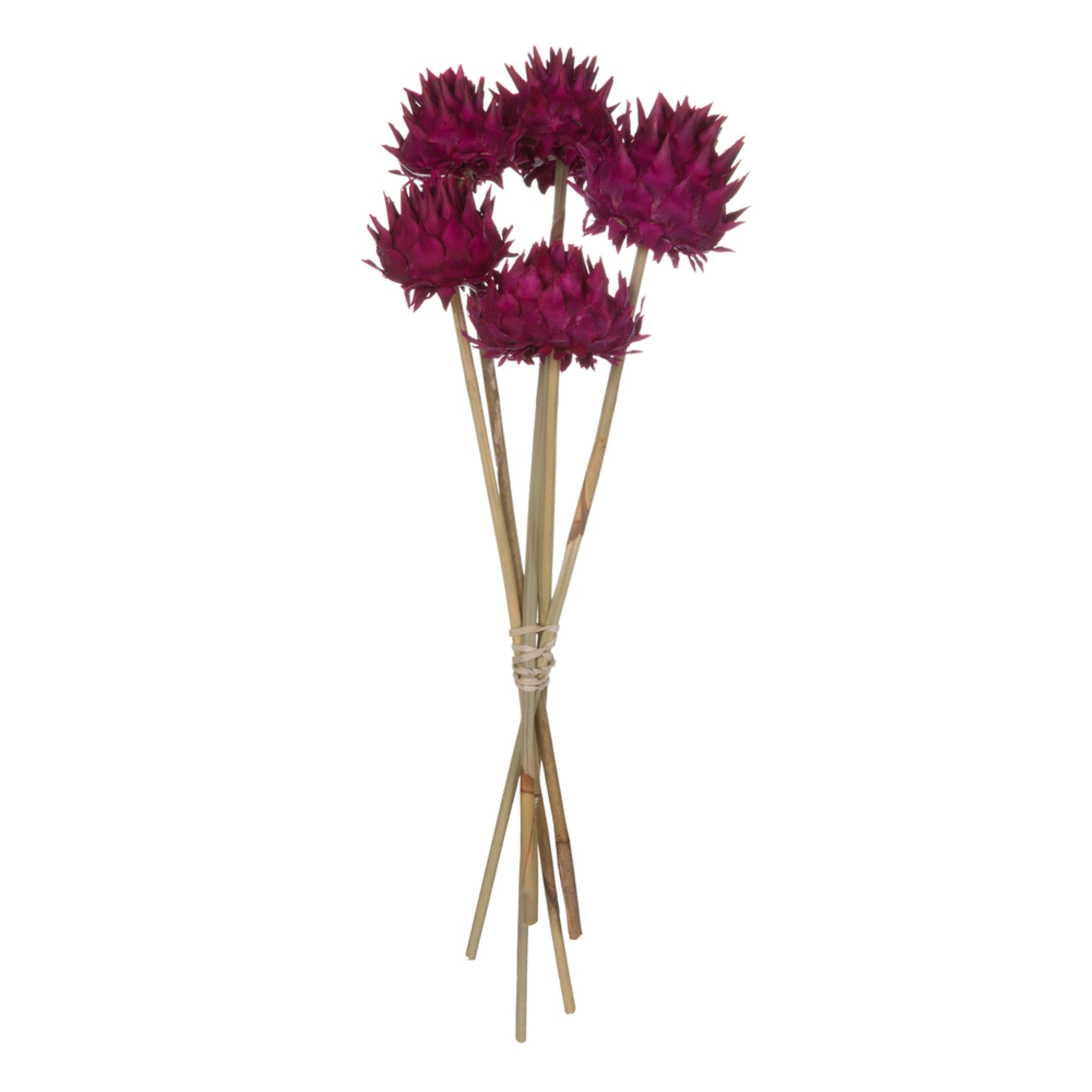 15” Raspberry Artichoke on Stem 9/pk