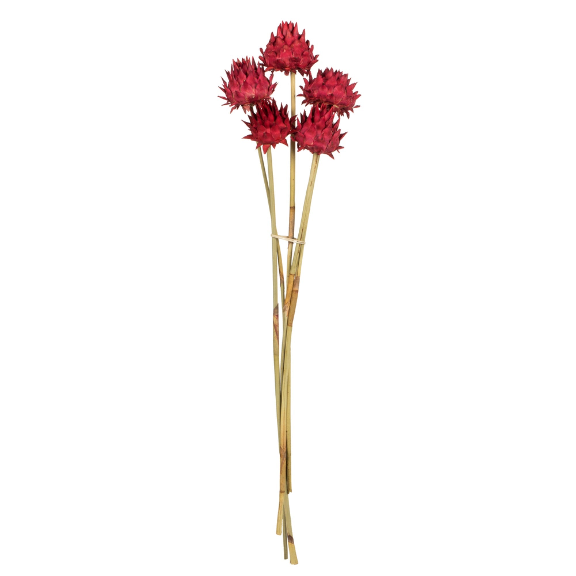 15” Red Artichoke on Stem 9/pk