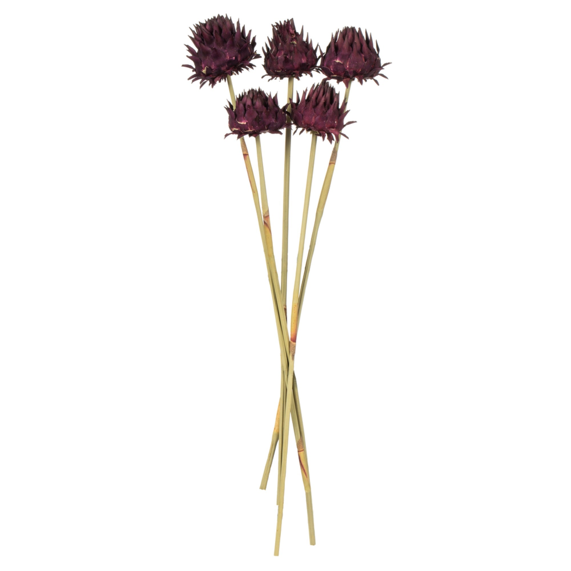 15” Violet Artichoke on Stem 9/pk