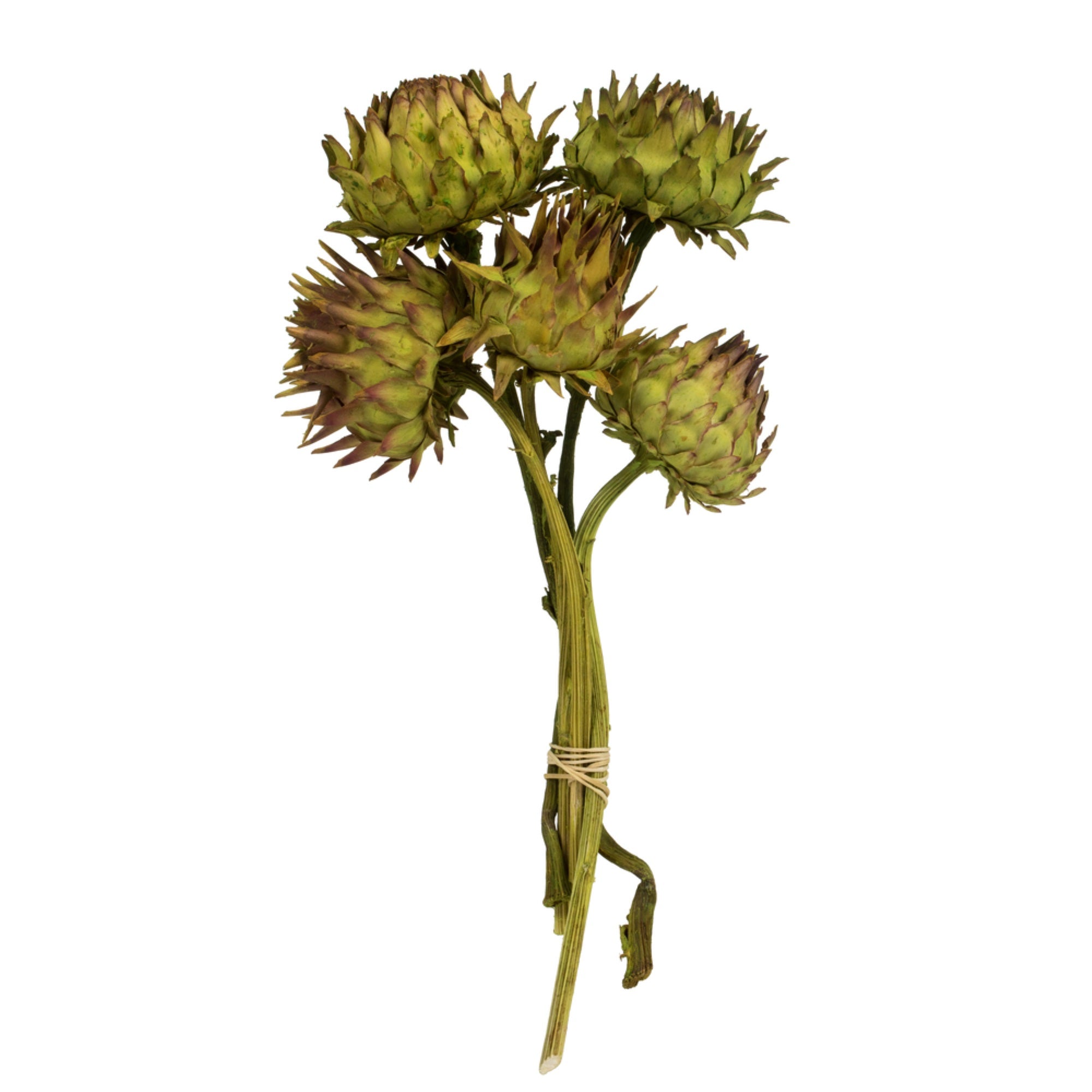 12” Basil Artichoke on Nat Stem 9/pk