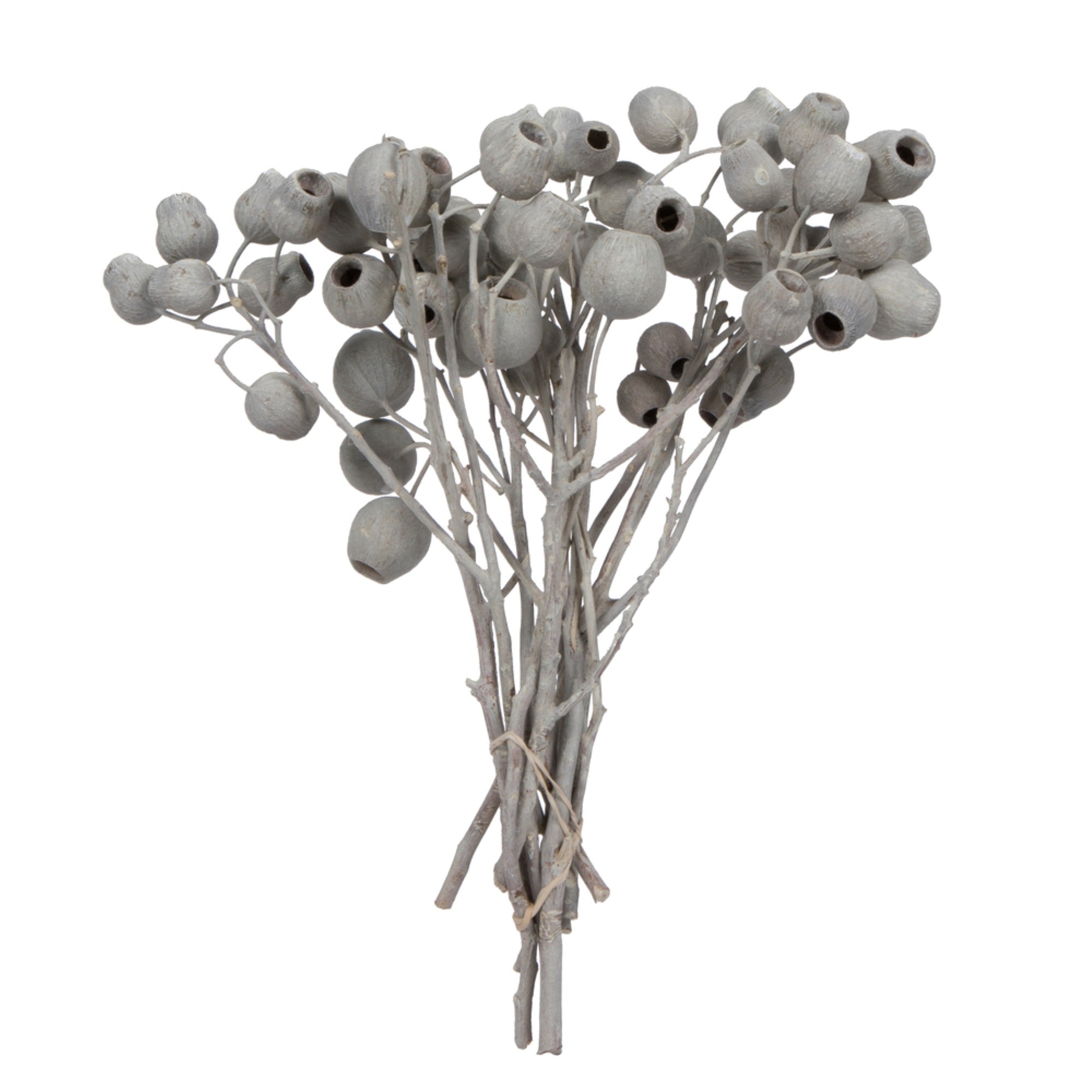 11”x4” Bellgum 5-7 Bells Ivory 10Pc Bu