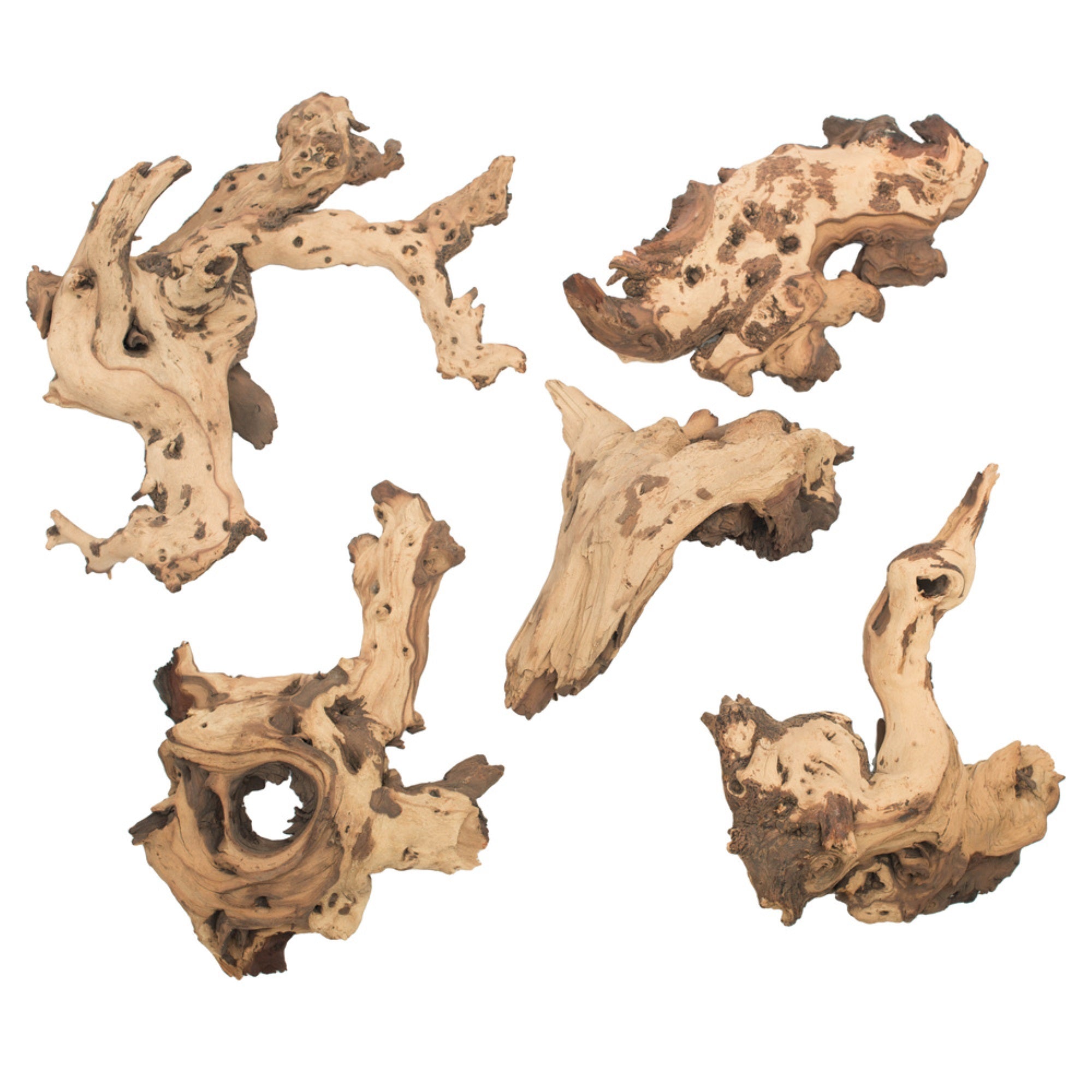 4-7 lb Natural Petrified Driftwood- 1 pc