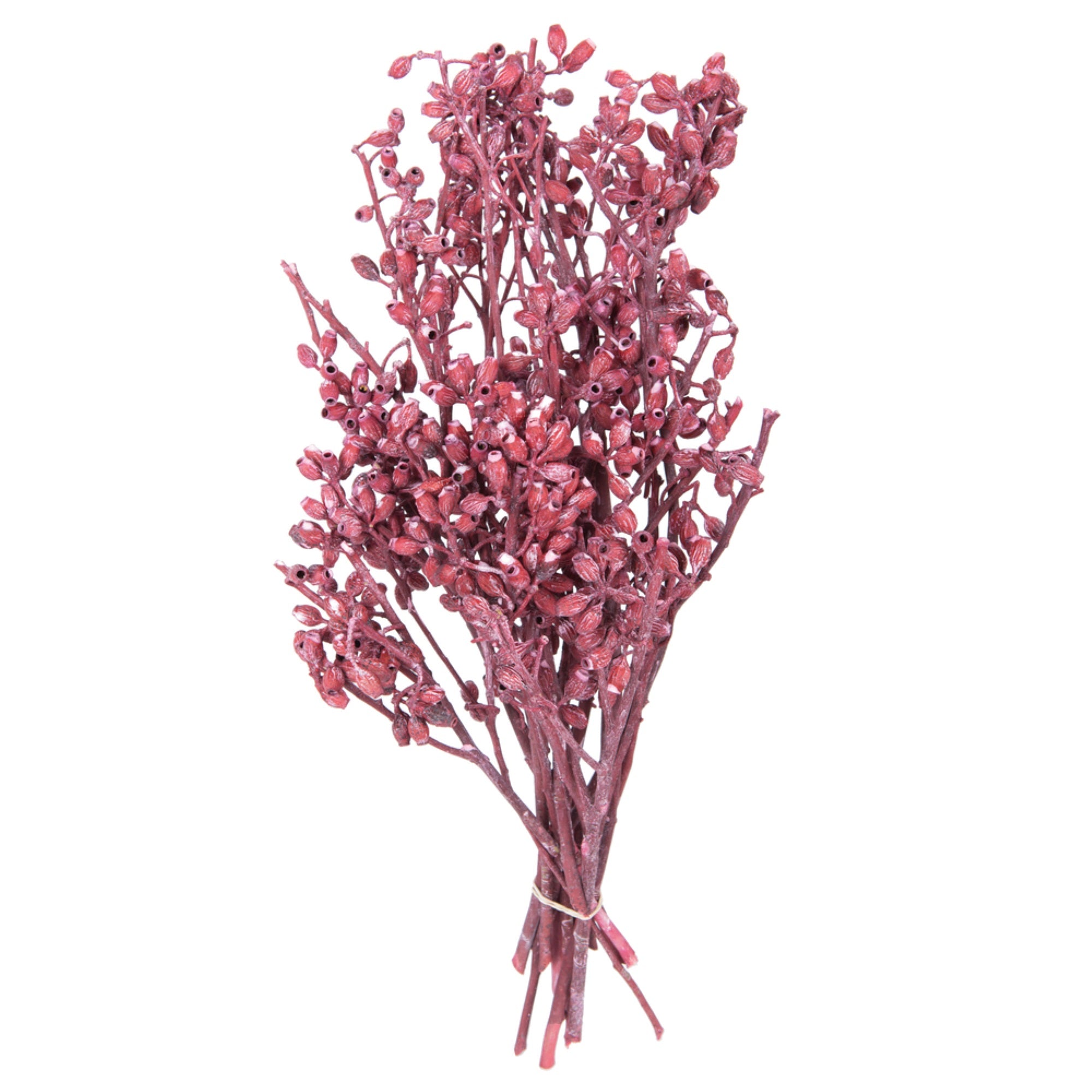 12”x1-3” Eucalyptus Red Frosted 16Pc Bu