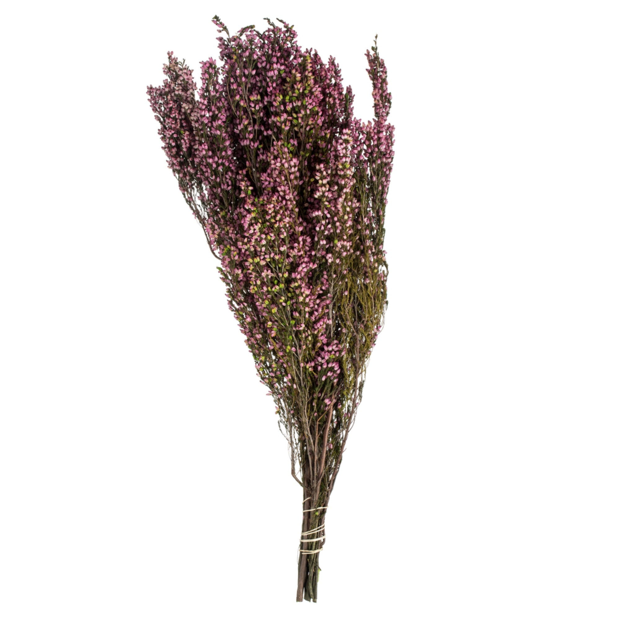 18-20” Pink Heather Erica 4-5oz Bunch