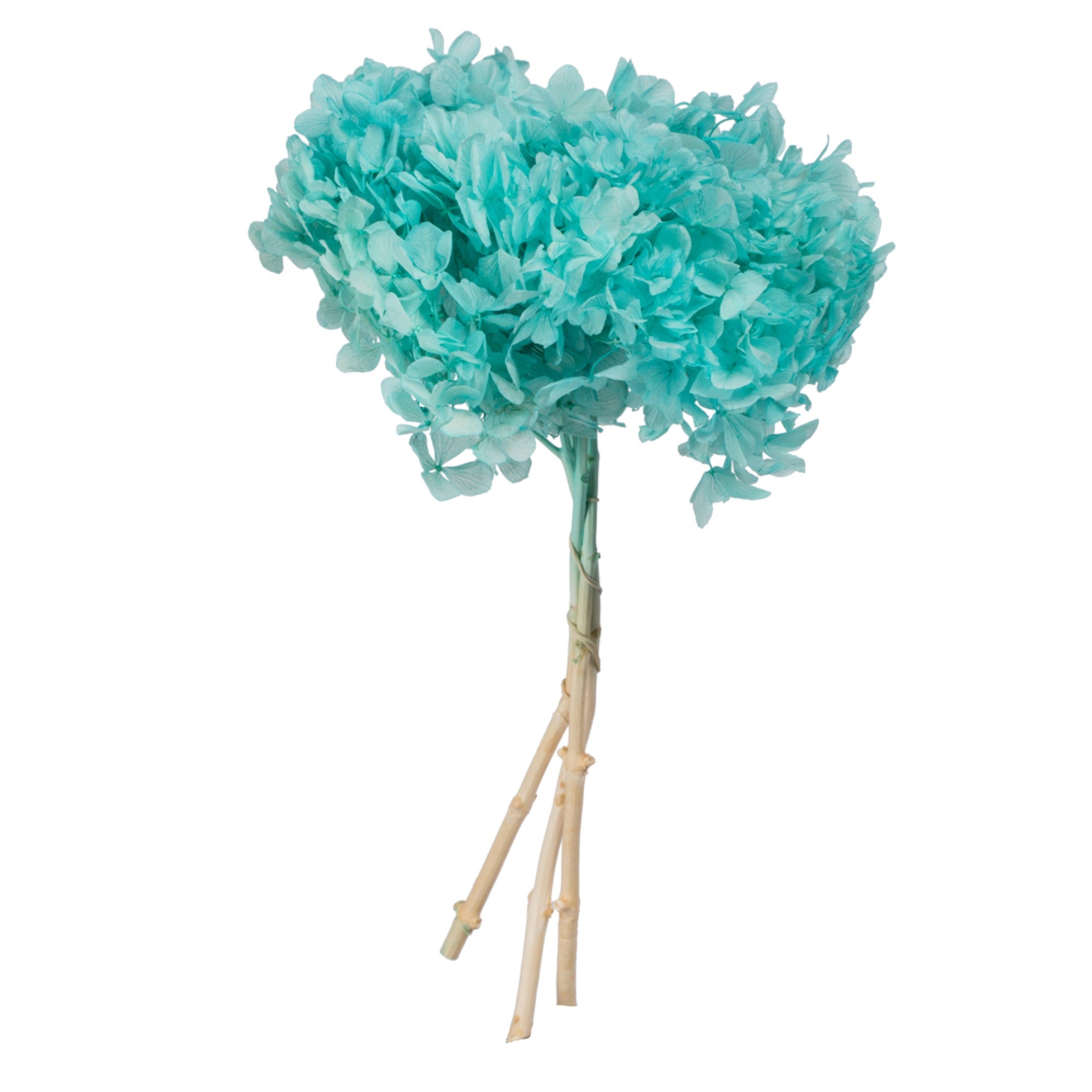 15” Turquoise Hydrangea Stem