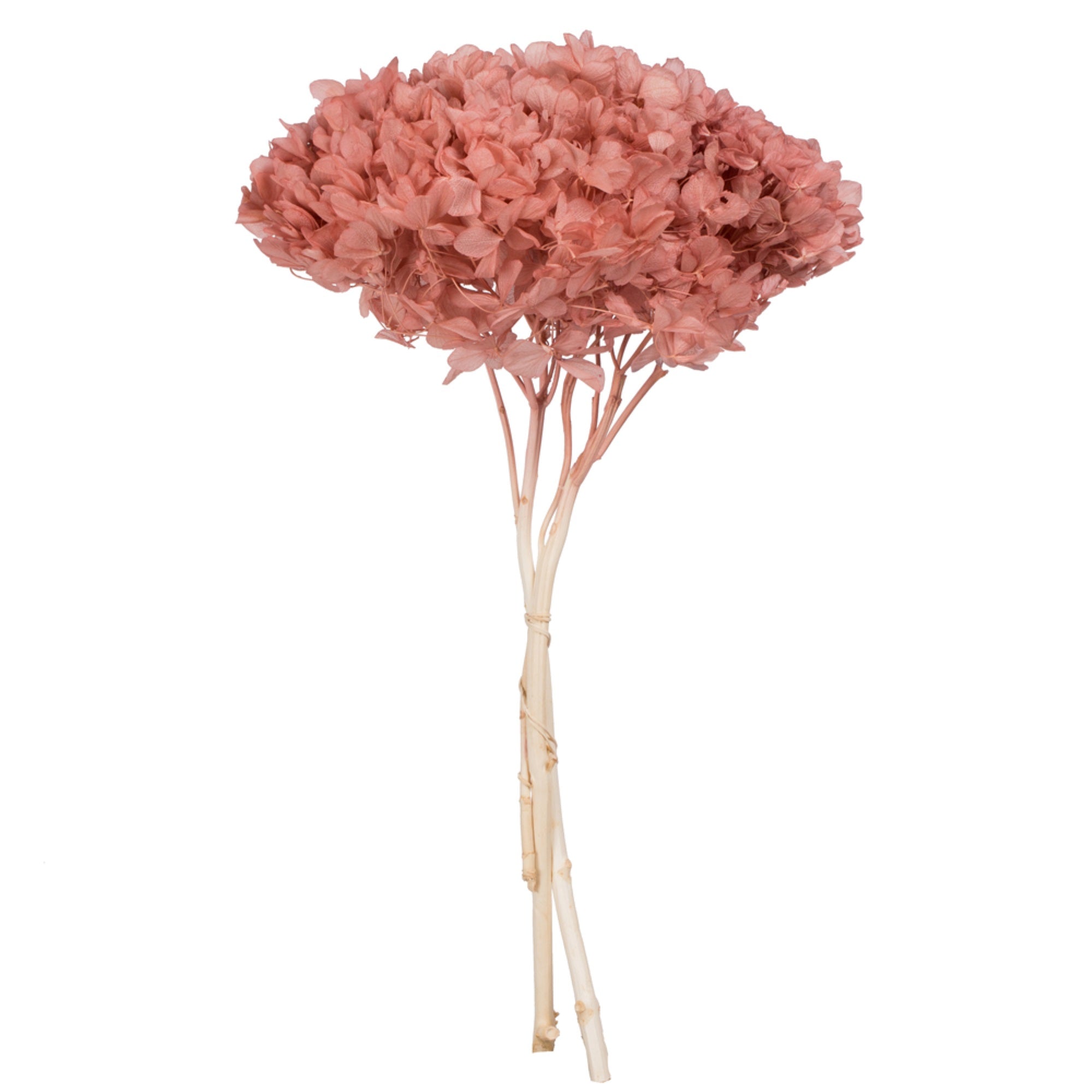 15” Erika Pink Hydrangea Stem
