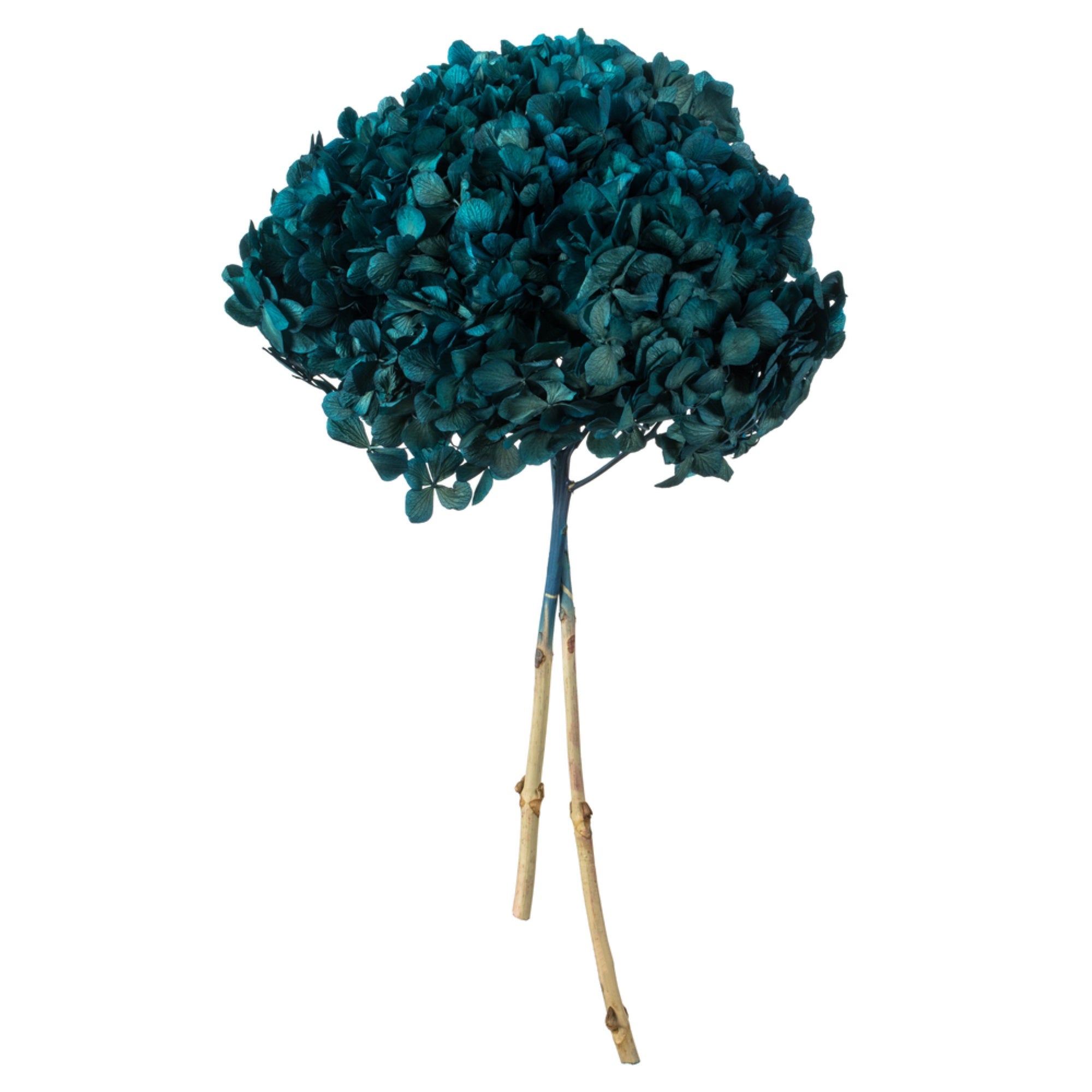 15” Blue Hydrangea Stem