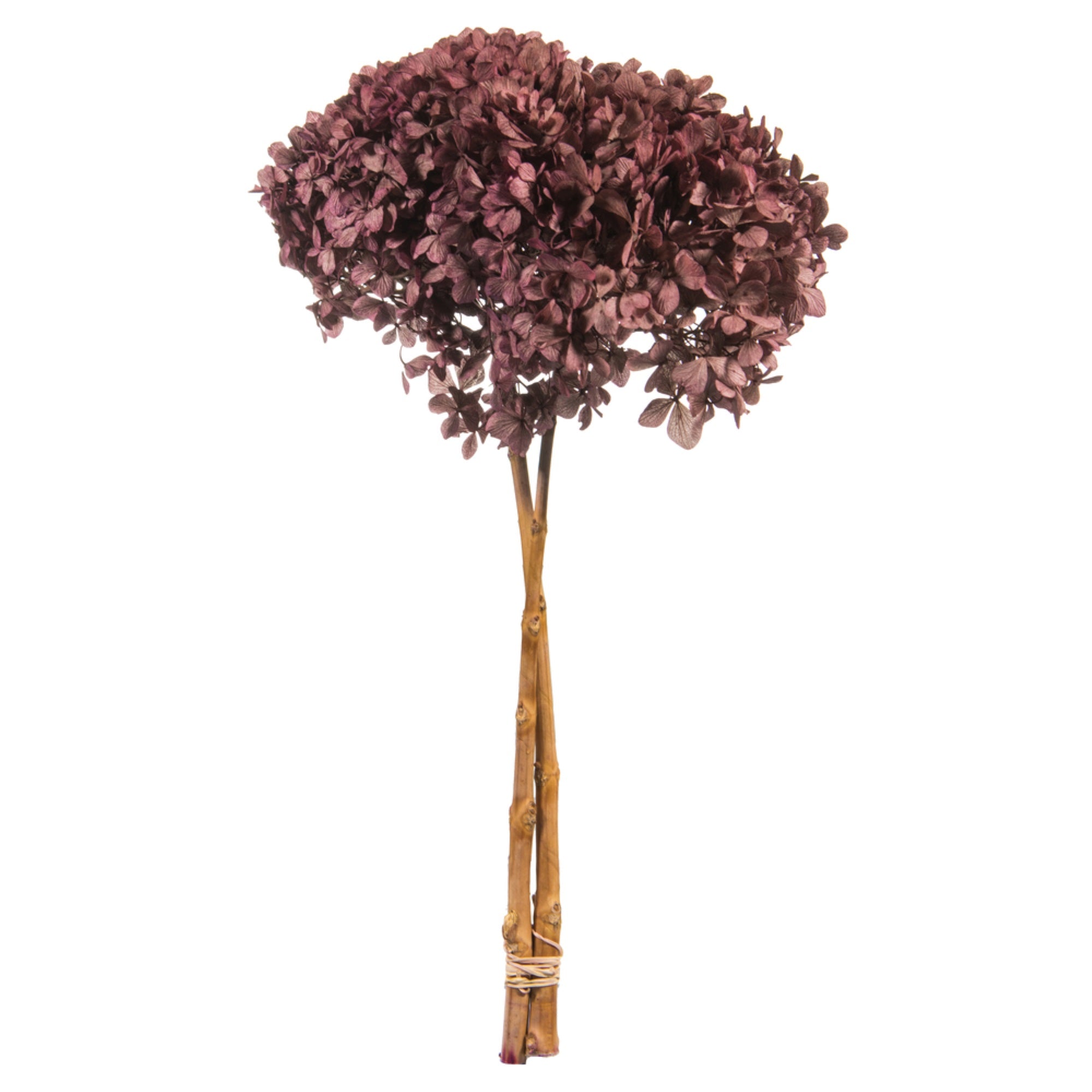 15” Violet Blush Hydrangea Stem