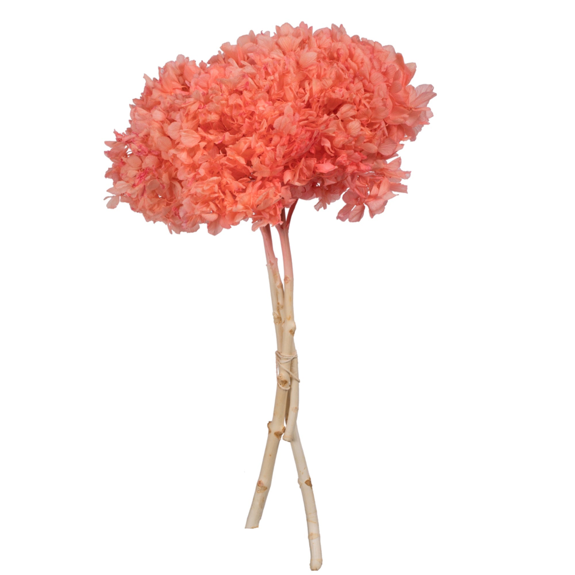 15” Salmon Hydrangea Stem