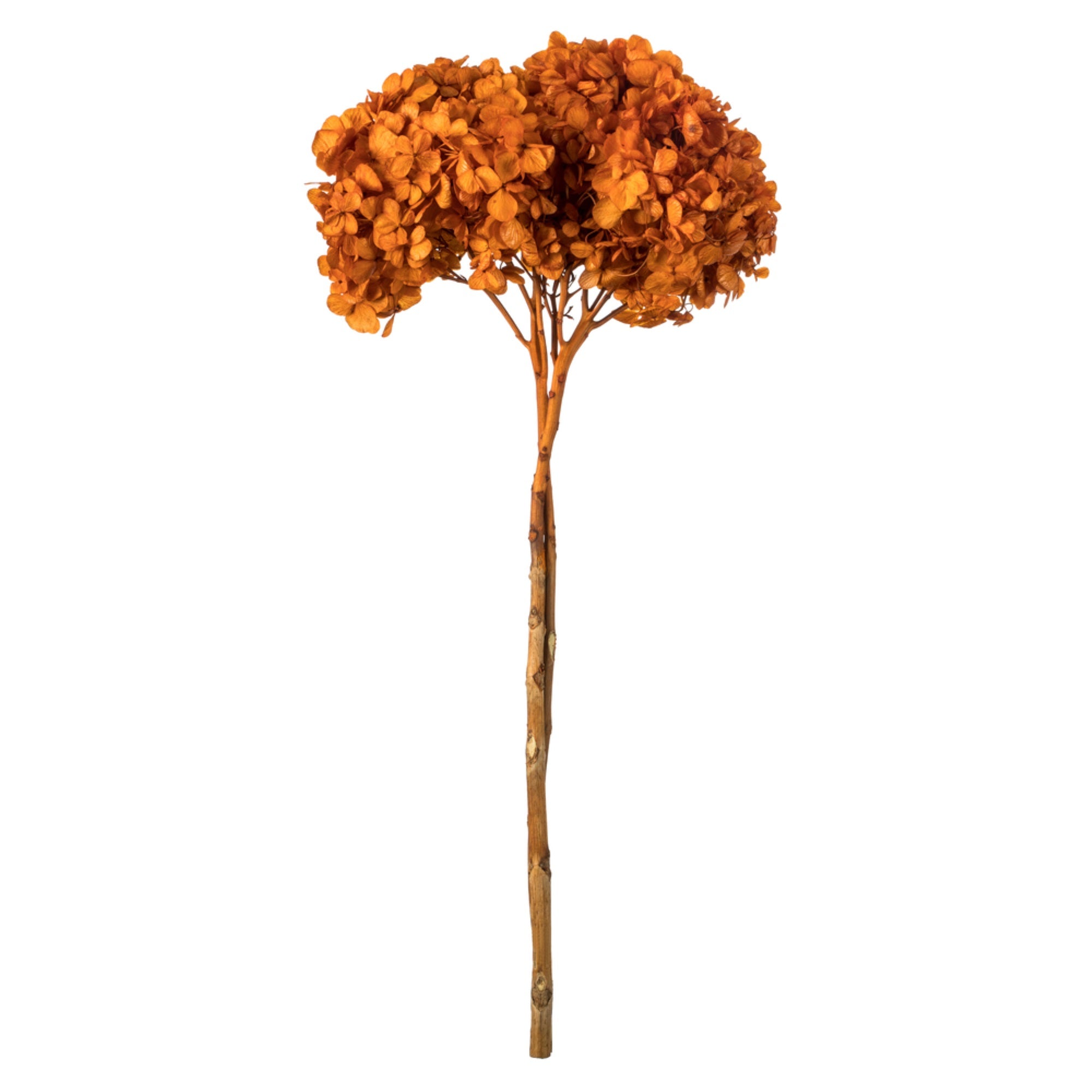 15″ Autumn Hydrangea Stem