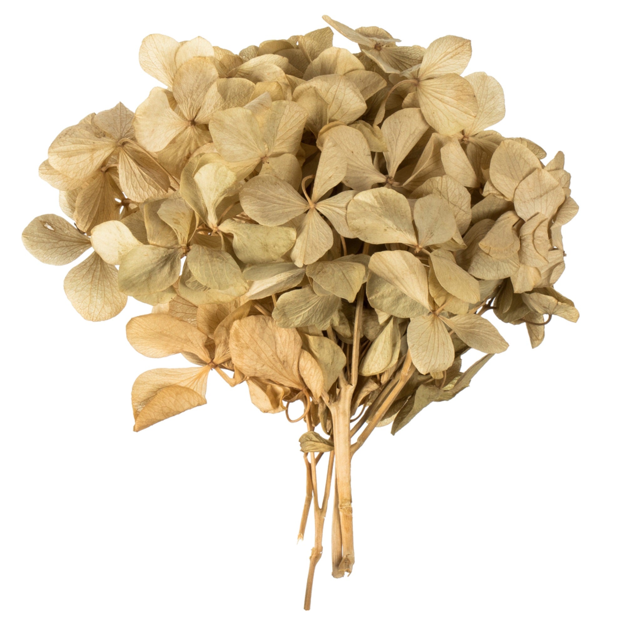 10x3x21” Tray-Natural Hydrangea Pieces
