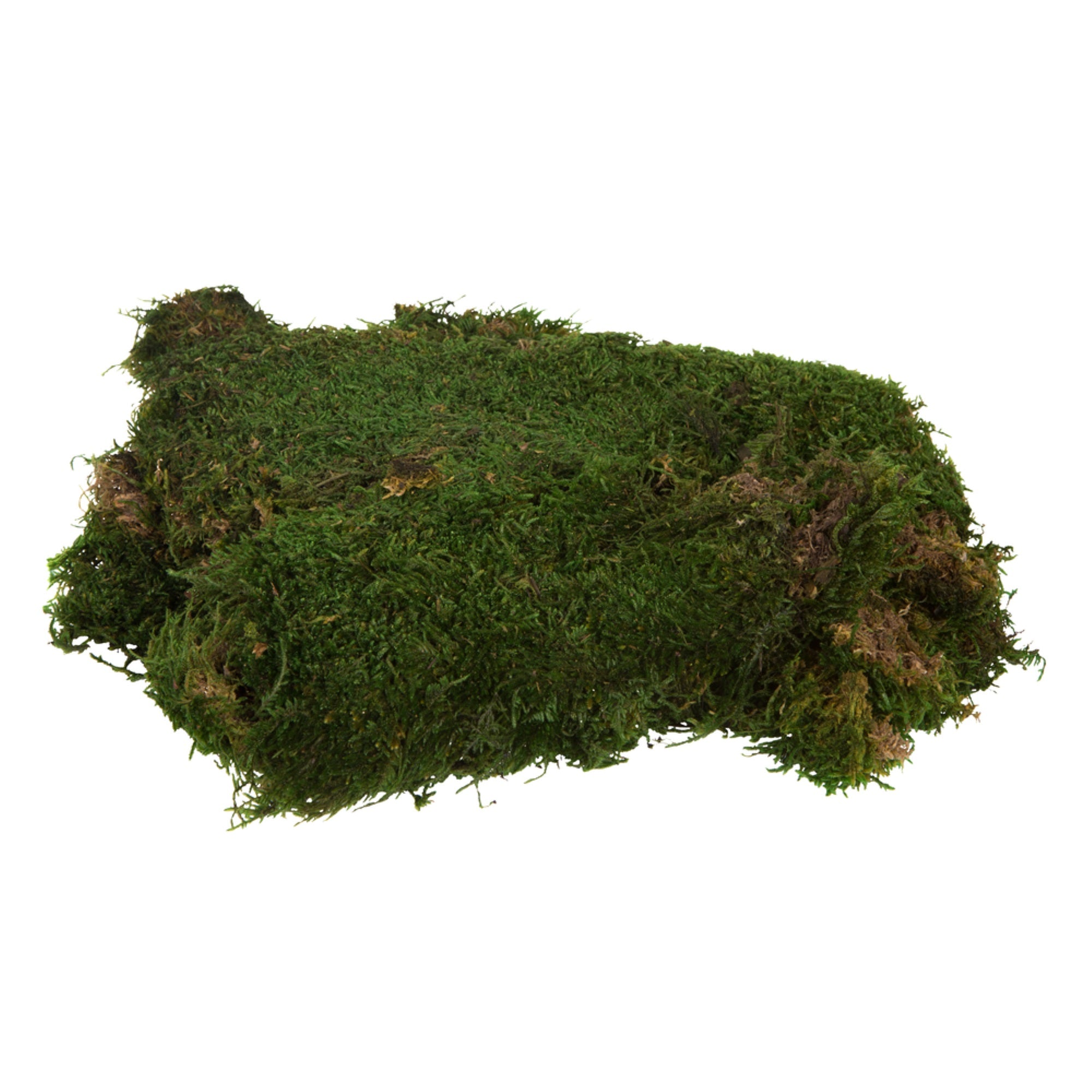 Green Moss Sheet - 8 oz./Bag
