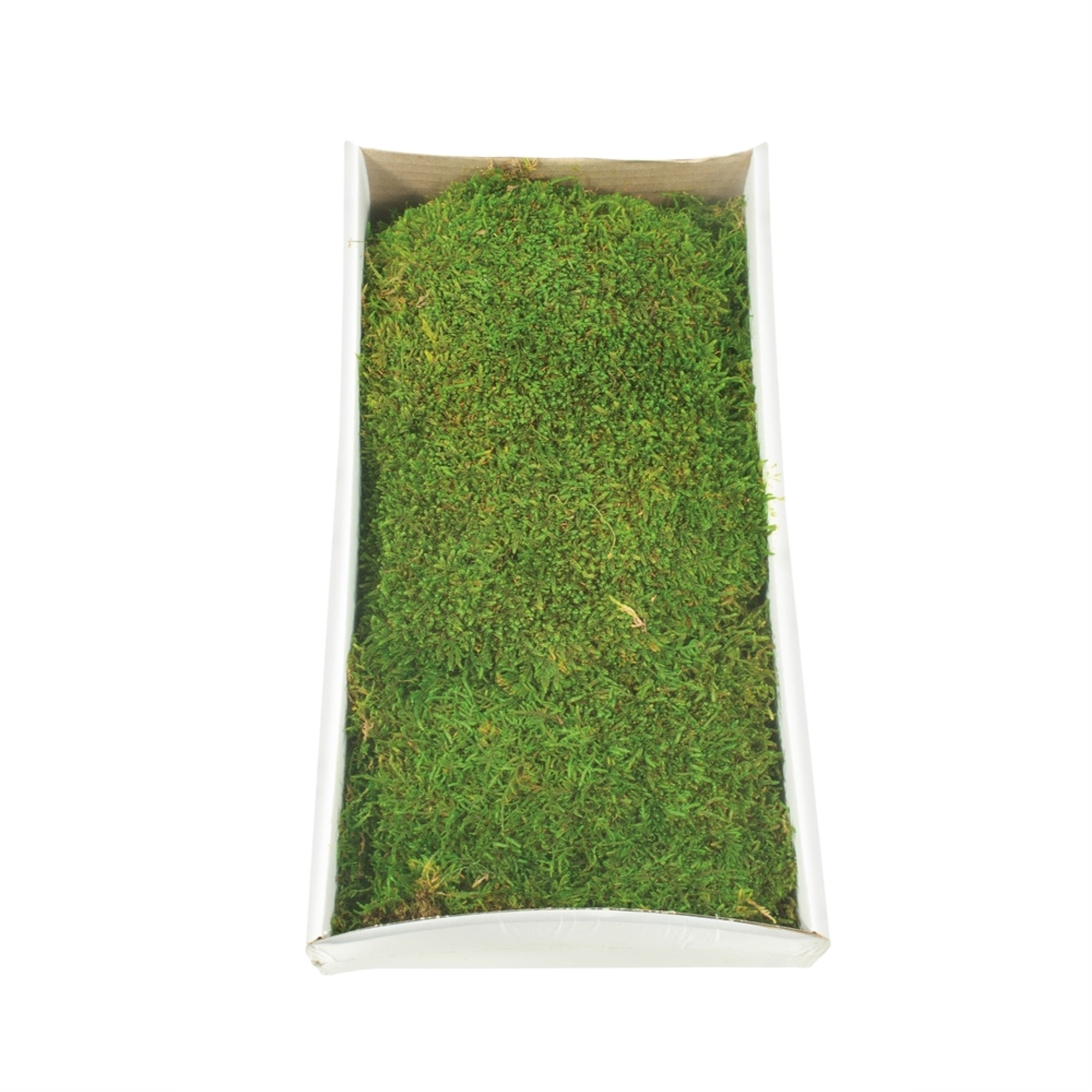 Green Moss Sheet - 8 oz./Tray