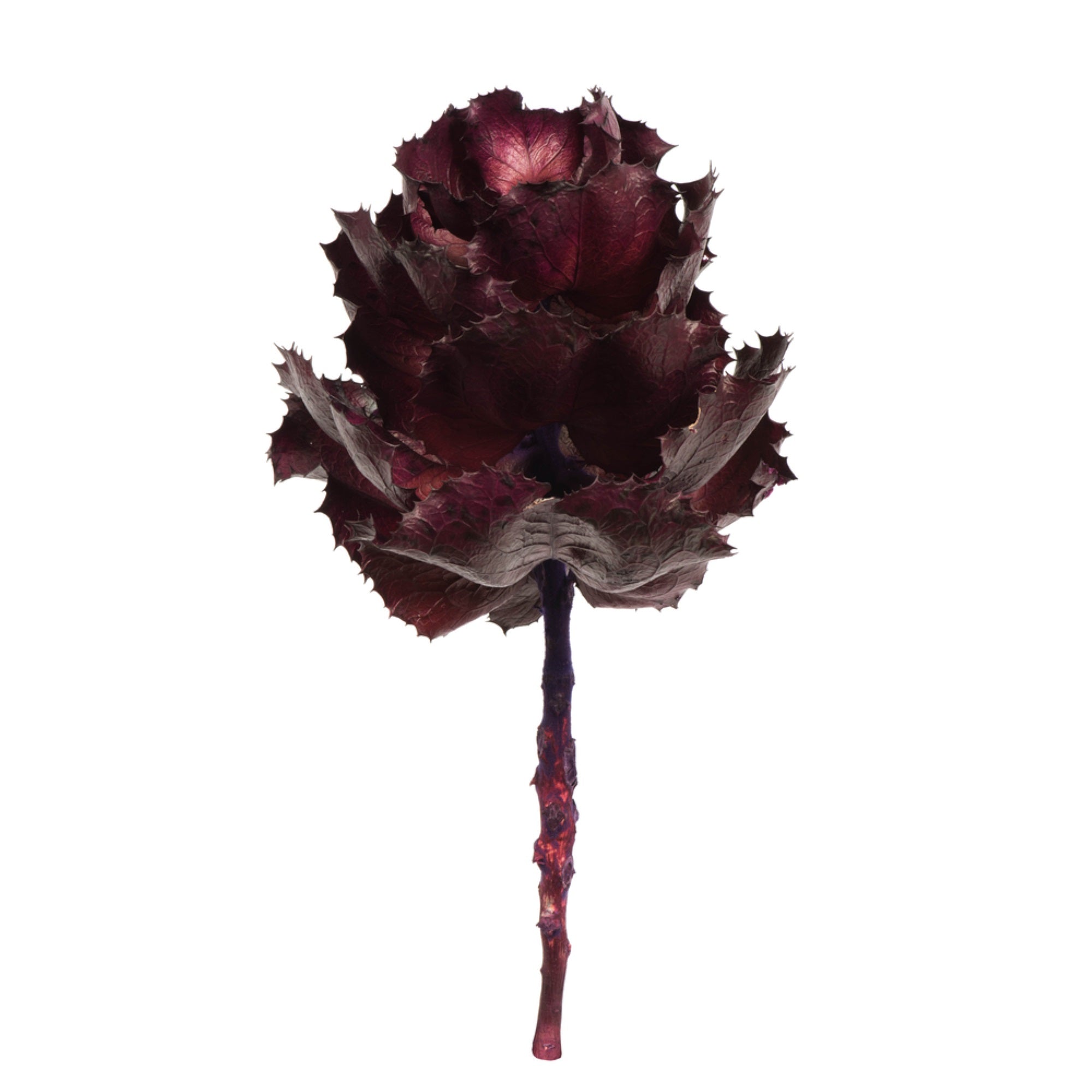 8” Violet Queen Flower Stem