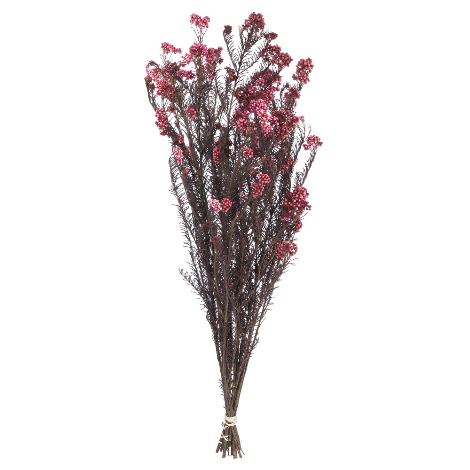 16” Wild Berry Rice Flower Bunch 9.5oz