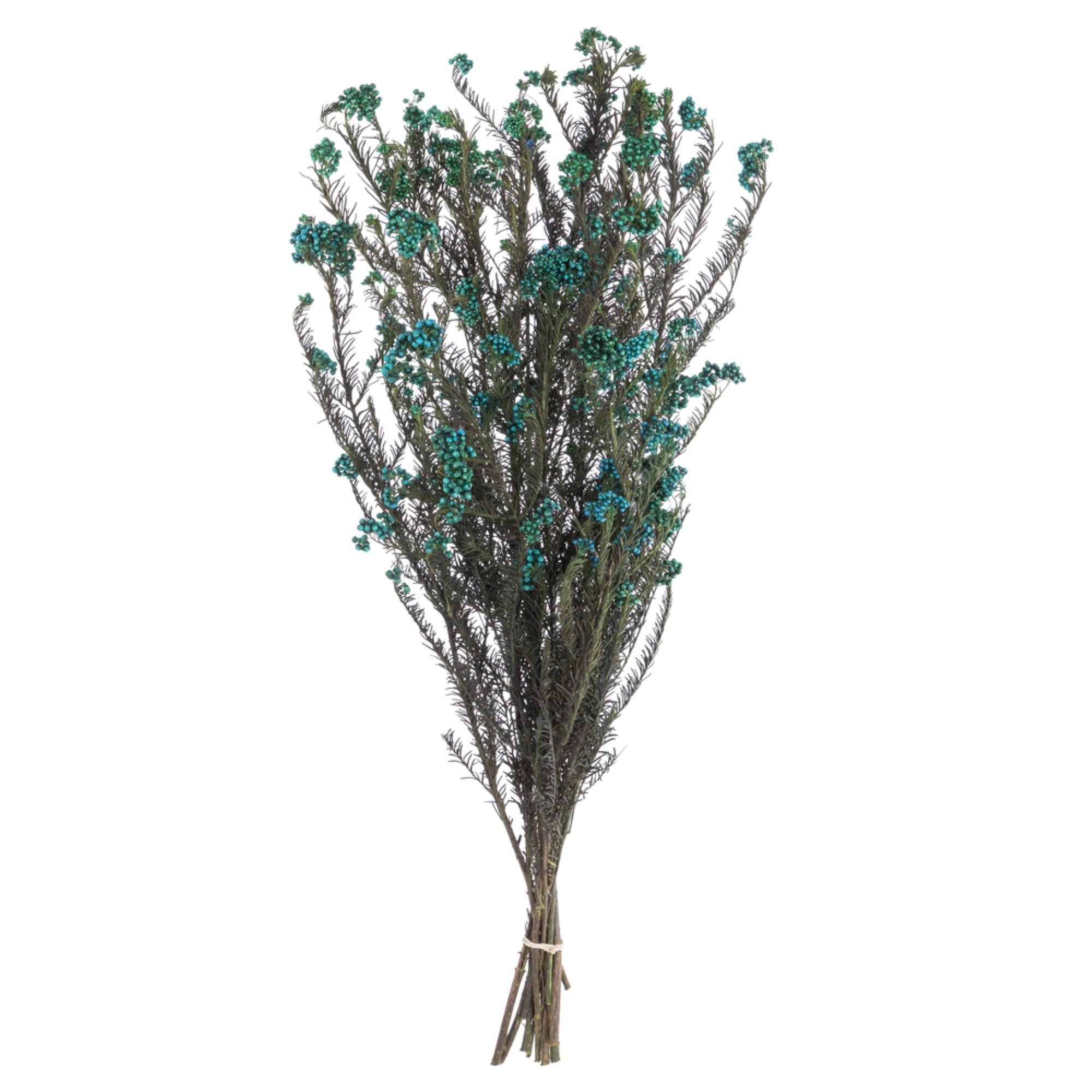 16” Blue Rice Flower Bunch 9.5oz